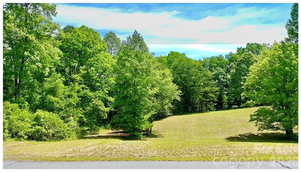 Ole Plantation - Land