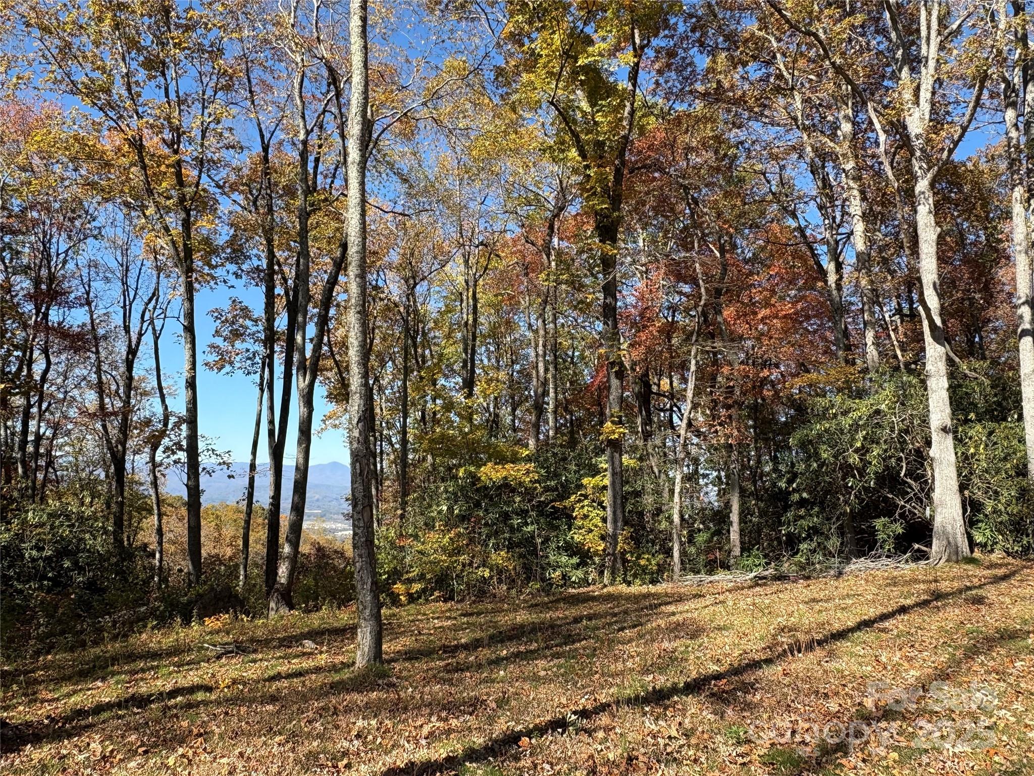 45 Trillium Garden Trail offers stunning year-round mountain views and gentle, relatively flat topography. Spend your days soaking in the view of Mount Pisgah from this beautiful 2.15-acre homesite. This property offers easy access to the community gardens, between 2 trailhead access points for the expansive nature preserve. Located in Couch Mountain, this 395-acre low-density community offers residents the opportunity to walk out their door and step into nature, featuring approximately 4 acres of hiking trails located in the 138-acre Nature Preserve. Spend your days in the community gardens, greenhouse, and enjoy honey from the community apiaries. Ideally situated between Hendersonville and Asheville, offering easy access to both mountain towns.