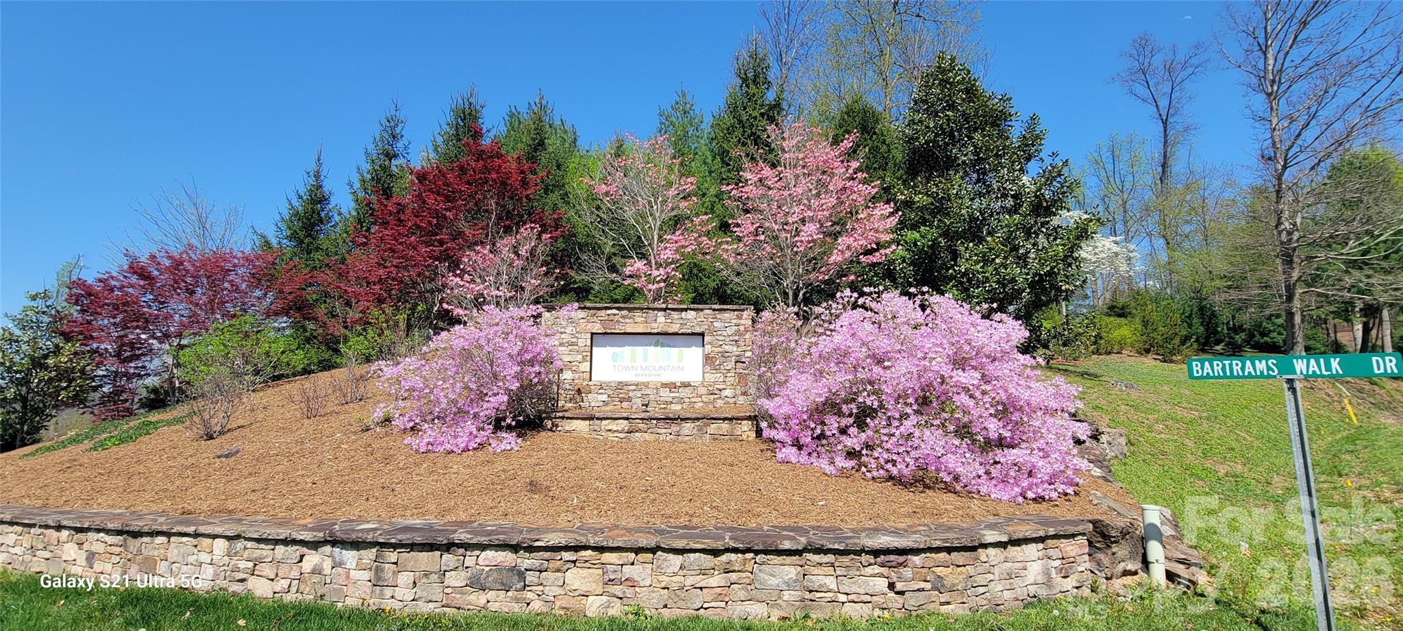 Town Mountain Preserve - Land