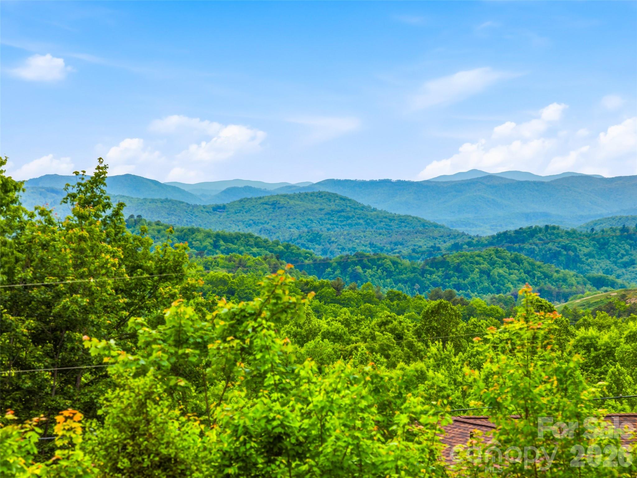 Panther Ridge - Ridge Haven - Residential