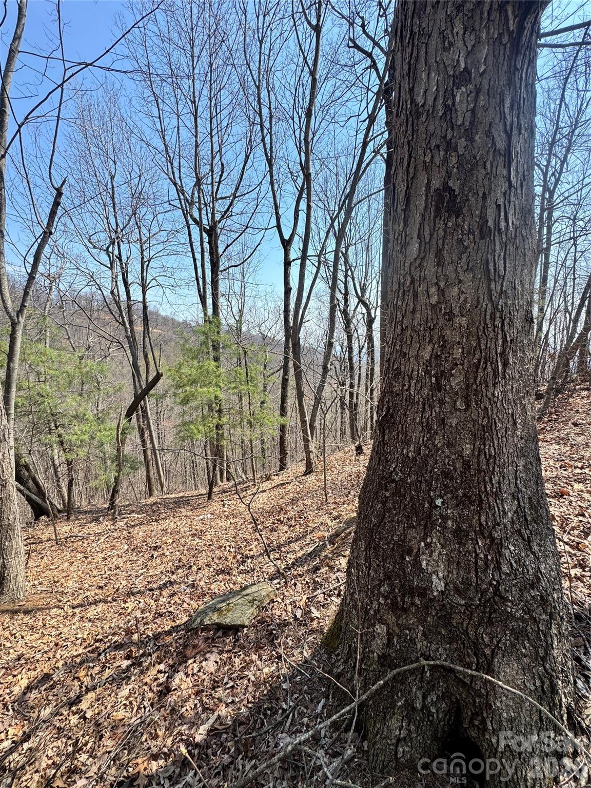 Come build your mountain dream home or cozy cabin atop Pinnacle Mountain! This beautiful lot offers the potential for stunning long-range views and a peaceful setting surrounded by towering hardwoods, rhododendron thickets, and abundant wildlife. Tucked away on a private, gated gravel road, it provides the privacy and serenity you’ve been looking for. Located in the quiet Pinnacle Ridge development, this property is just a short drive to Lake Lure, Rutherfordton, and Asheville. Create your own private mountain retreat in the heart of Western North Carolina.