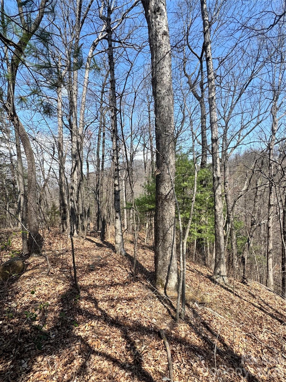 Pinnacle Ridge - Land