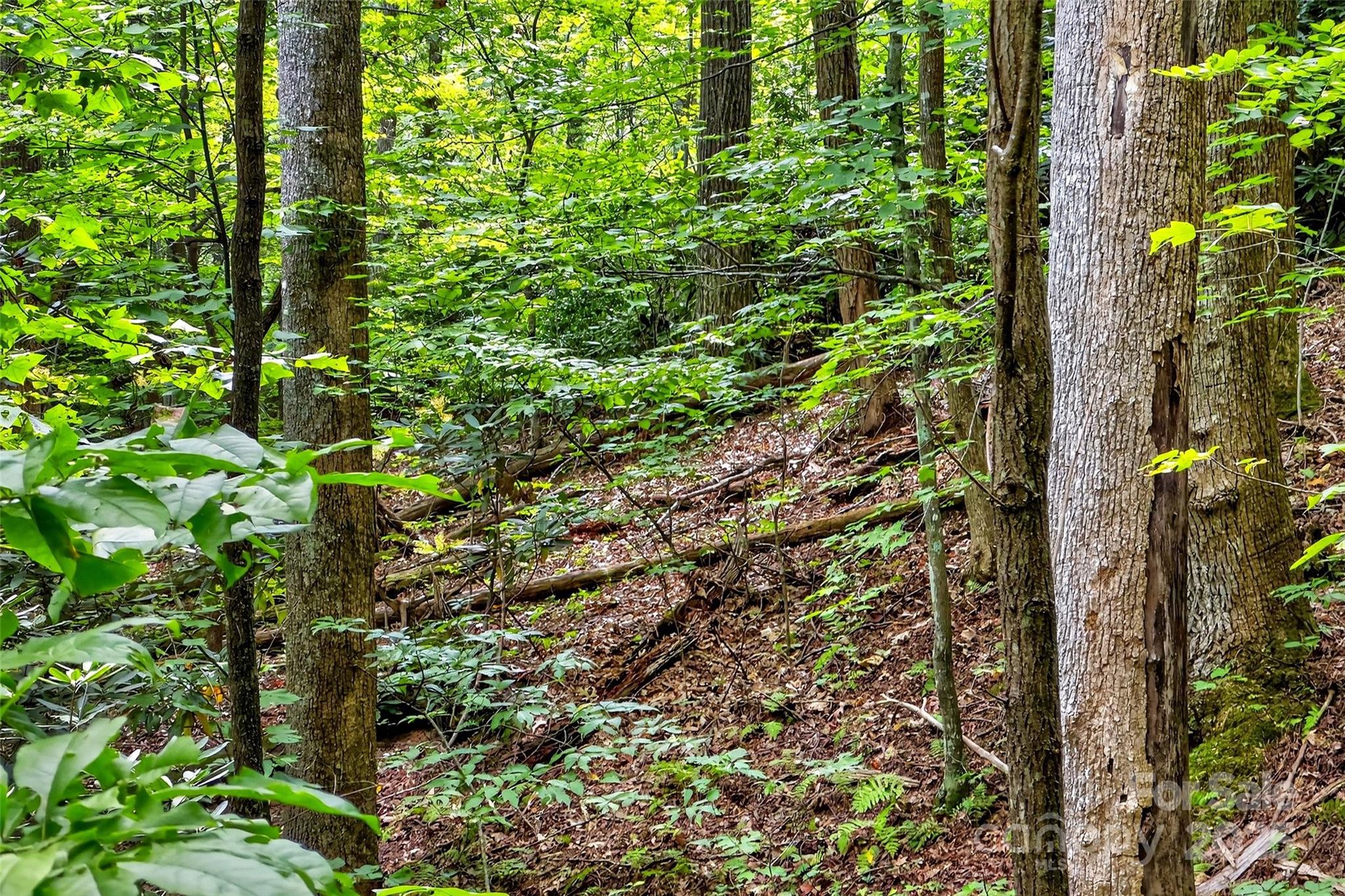Catawba Falls Preserve - Land