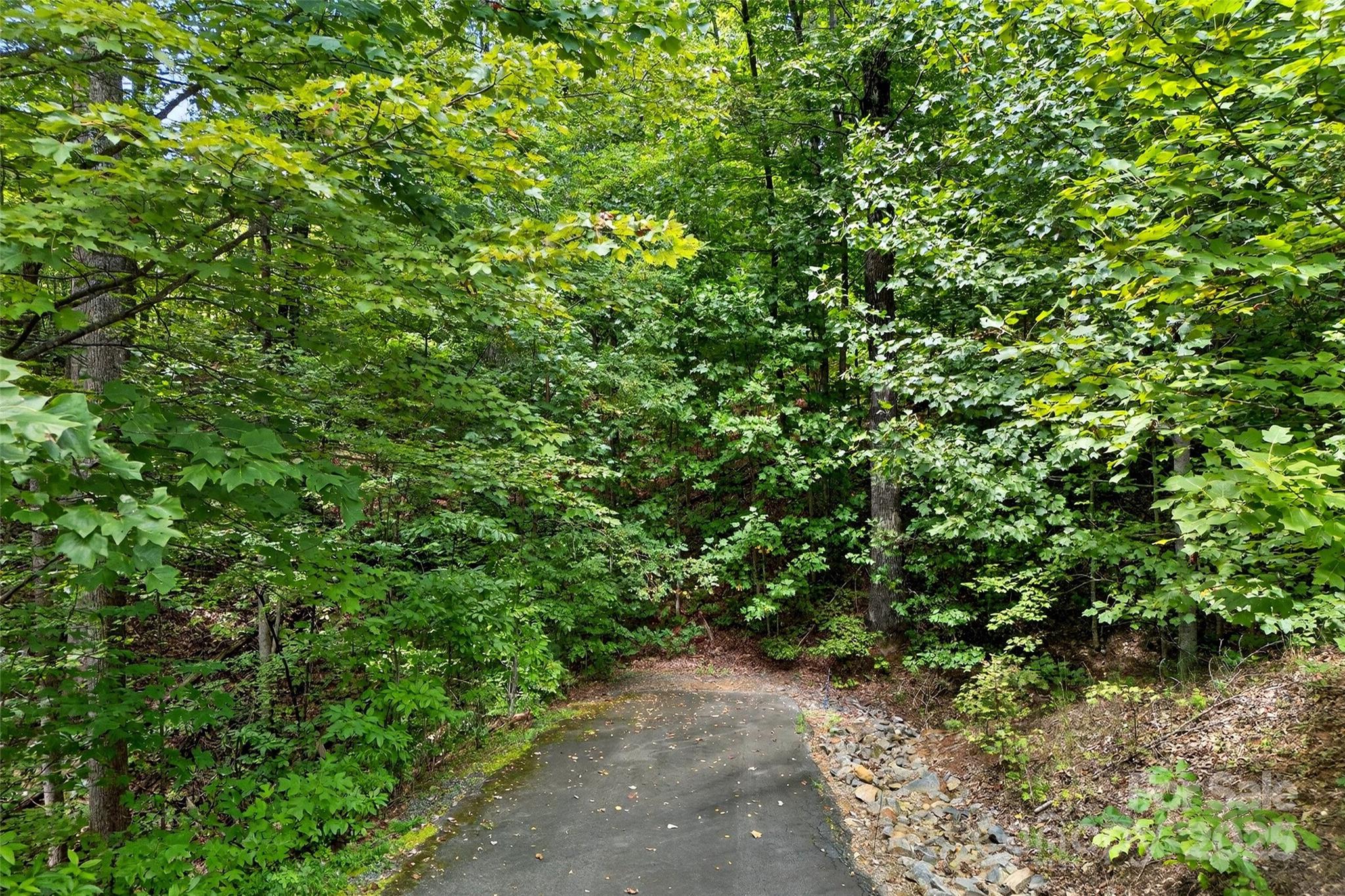 Beautiful and buildable 1.69 acre lot in the incredible Catawba Falls Preserve neighborhood. 15 minutes to downtown Black Mountain. 30 minutes to Asheville. CFP borders Pisgah National Forest and connects to scenic hiking trails that lead to the iconic 304-ft Catawba Falls! This beautifully-maintained community features wide paved roads and underground utilities. Close to it all while feeling a world away. CFP is one of the very few gated communities in the area that currently allow short-term rentals - so you have the option to build your mountain dream home and then rent it out when you're not there.