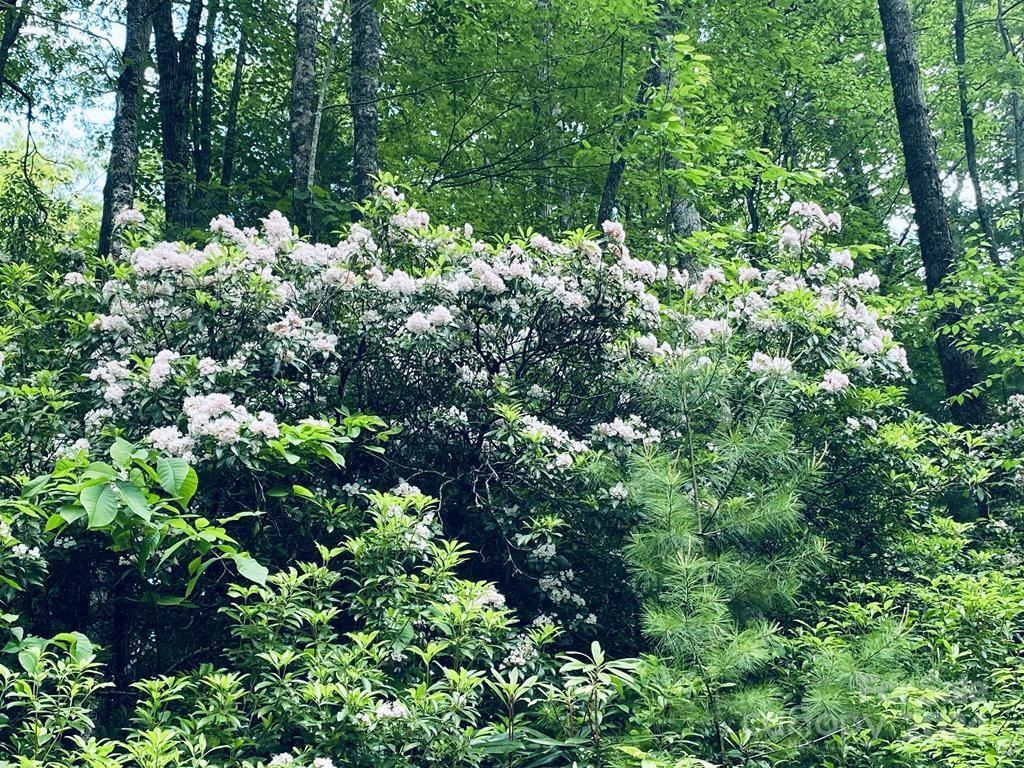Garnet Ridge Preserve - Land