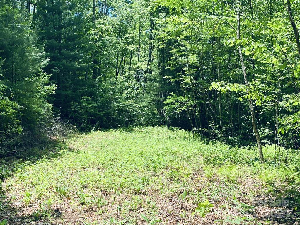 Garnet Ridge Preserve - Land