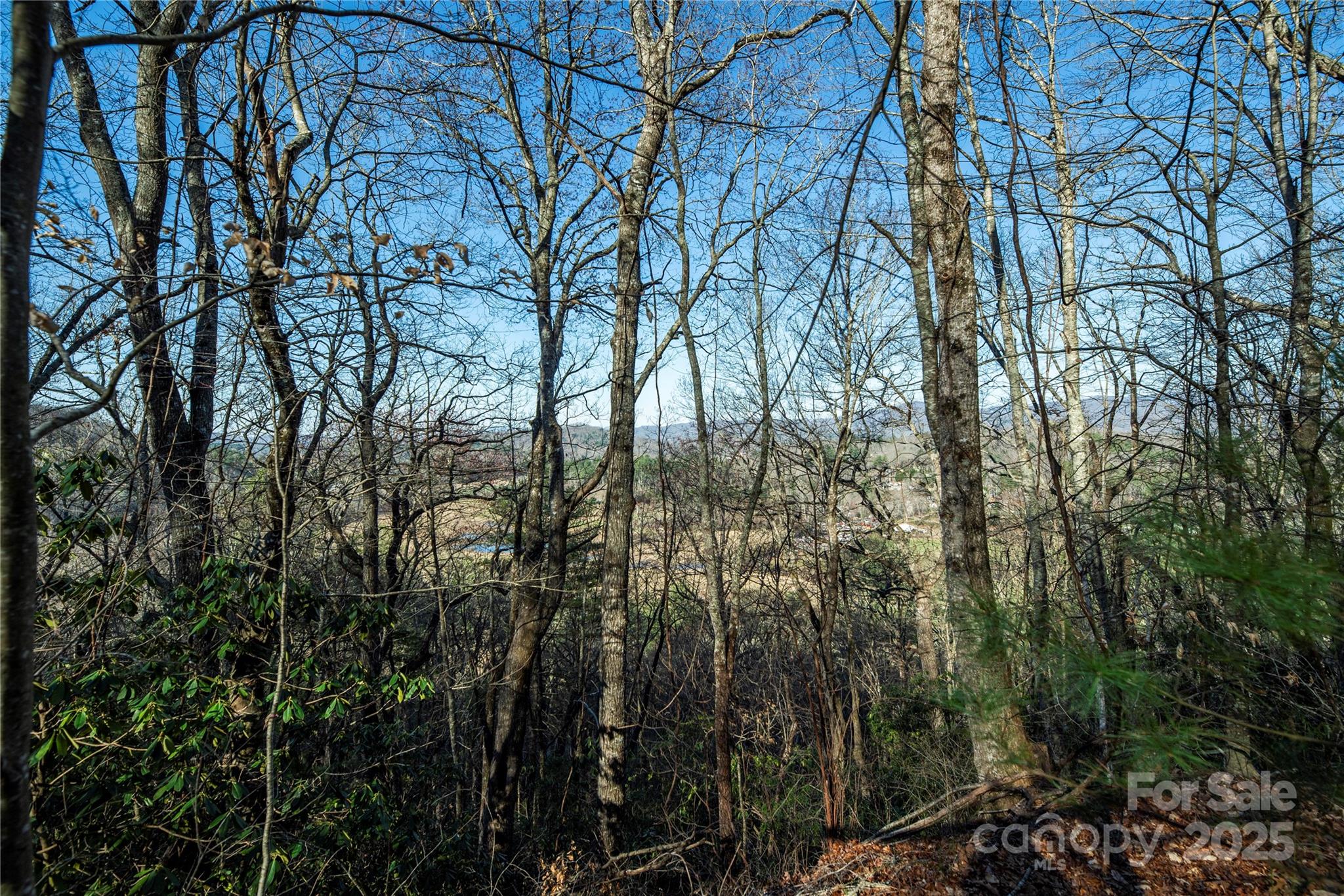 Overlooking the French Broad River Valley about 2 miles southeast of Brevard, this mountain view property features long-range vistas across open farmland and the beautiful French Broad River Valley below and as well as to Pisgah National Forest and the Blue Ridge Parkway. Other adjoining lots are available.