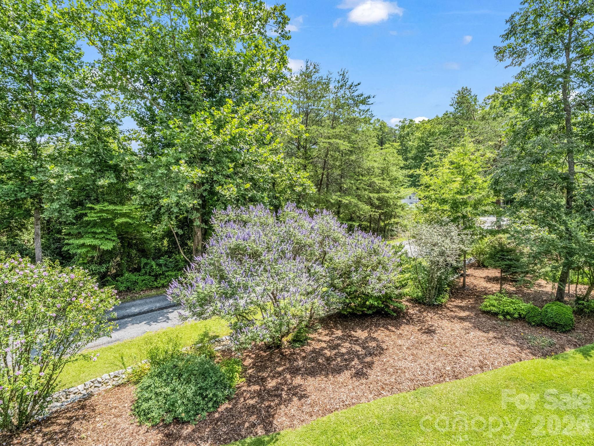 Rumbling Bald on Lake Lure - Residential