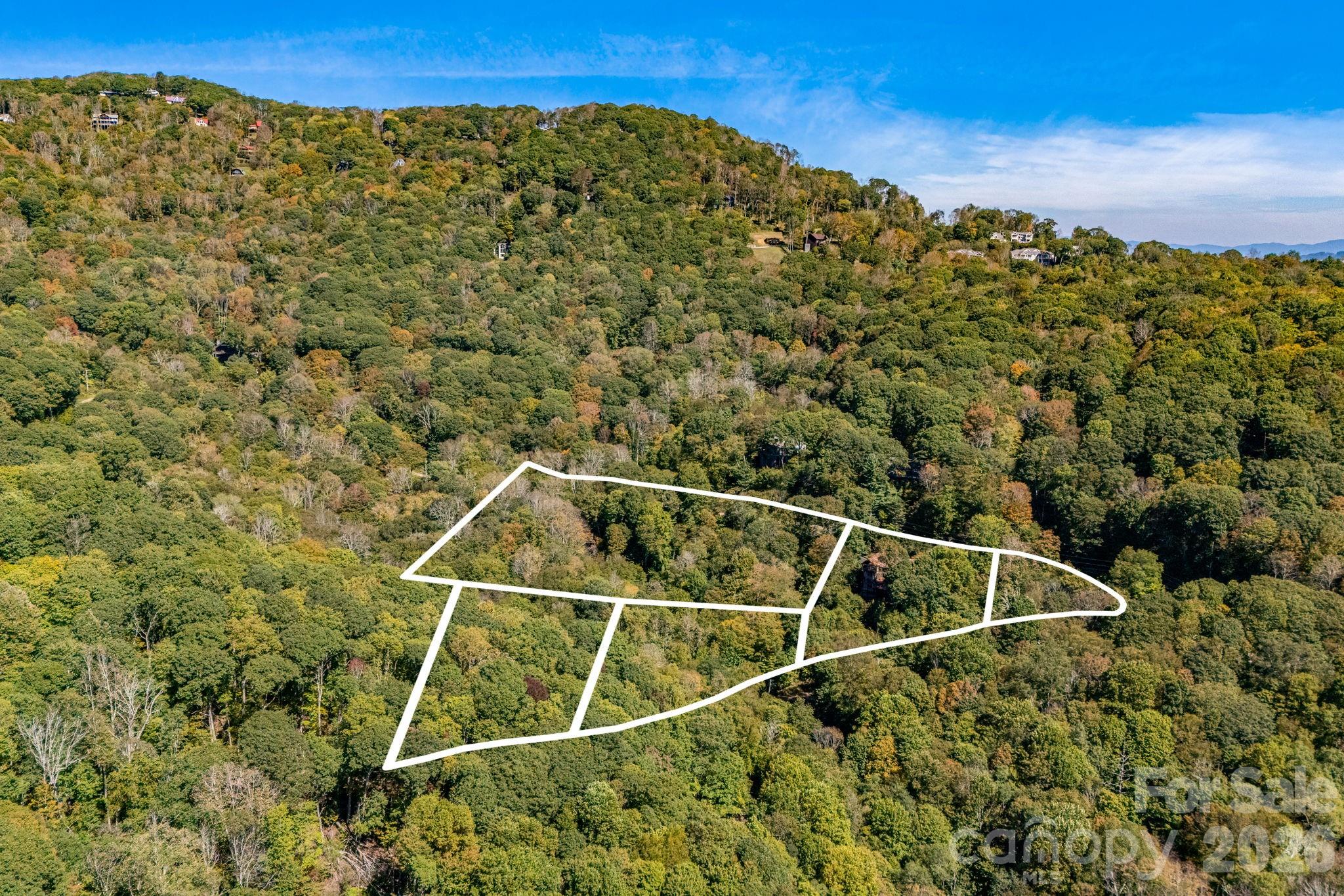 Wolf Laurel - Residential