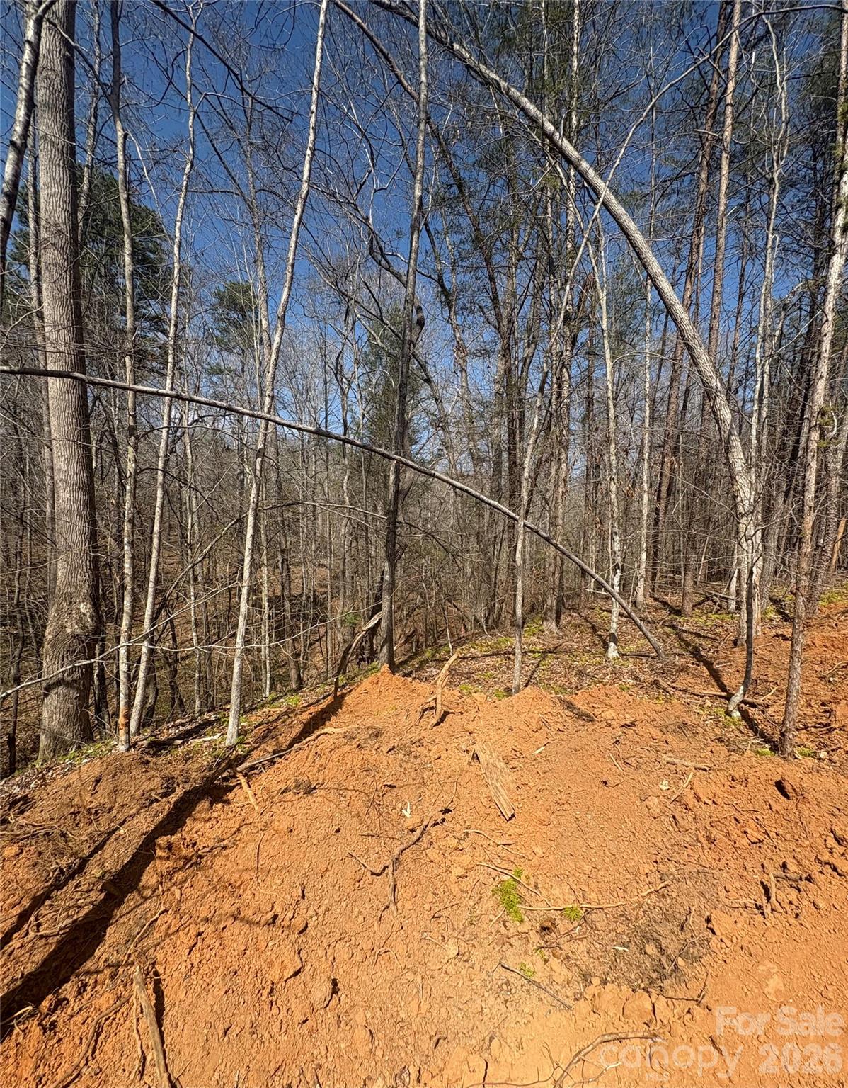 Beautiful wooded acreage with rolling terrain and a peaceful natural setting. This private tract offers a great mix of mature hardwoods, open cleared areas, and gentle slopes ideal for a future homesite . Enjoy mountain-style views, abundant wildlife, and plenty of space to explore while still being convenient to nearby amenities. A rare opportunity to own land with endless potential!