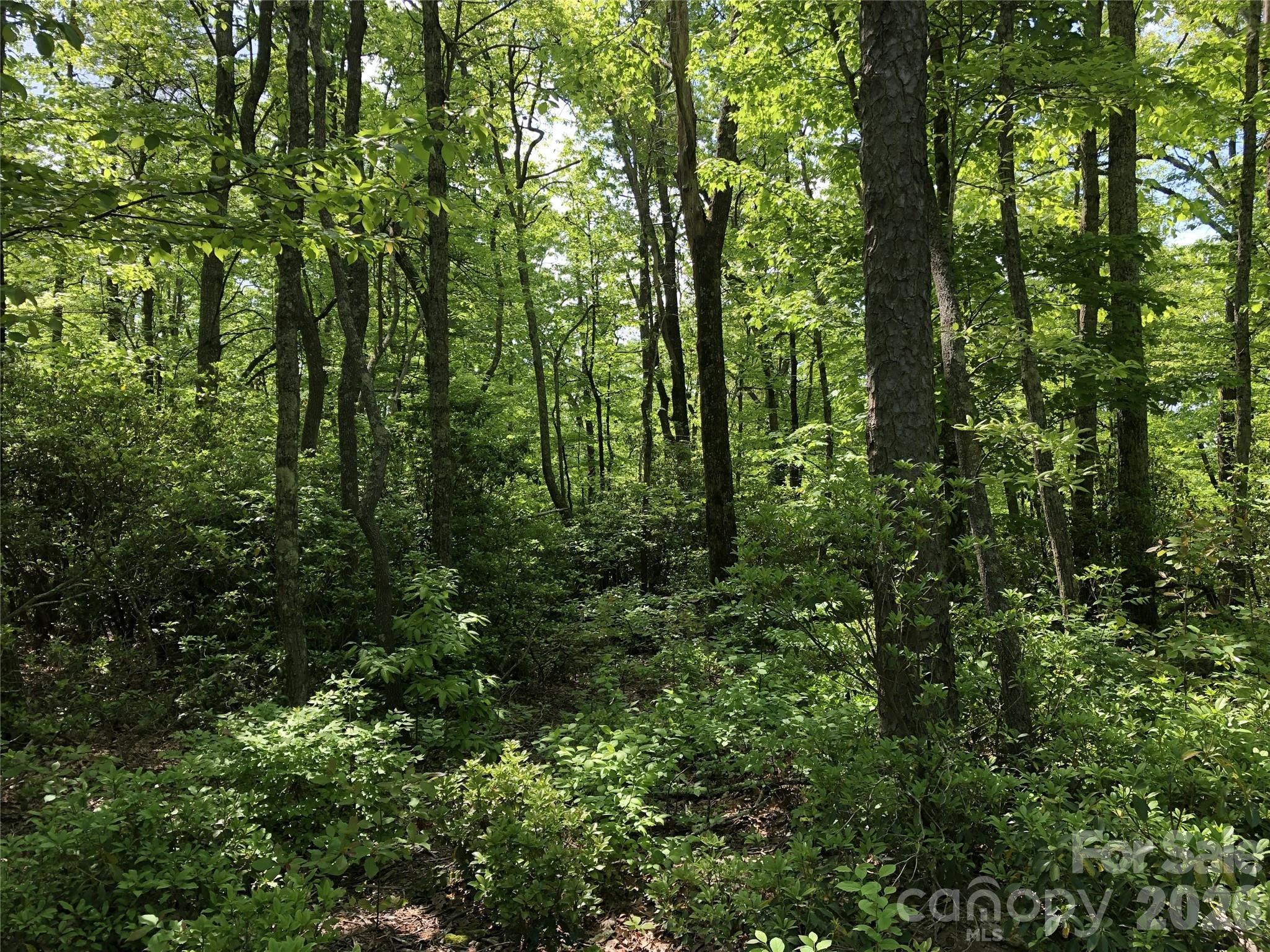 Beautiful lot that can have long range views. Lace Falls is a great community nestled in WNC and has larger lots with privacy on each lot. Great area, 15 minutes from town. Several different lots for sale