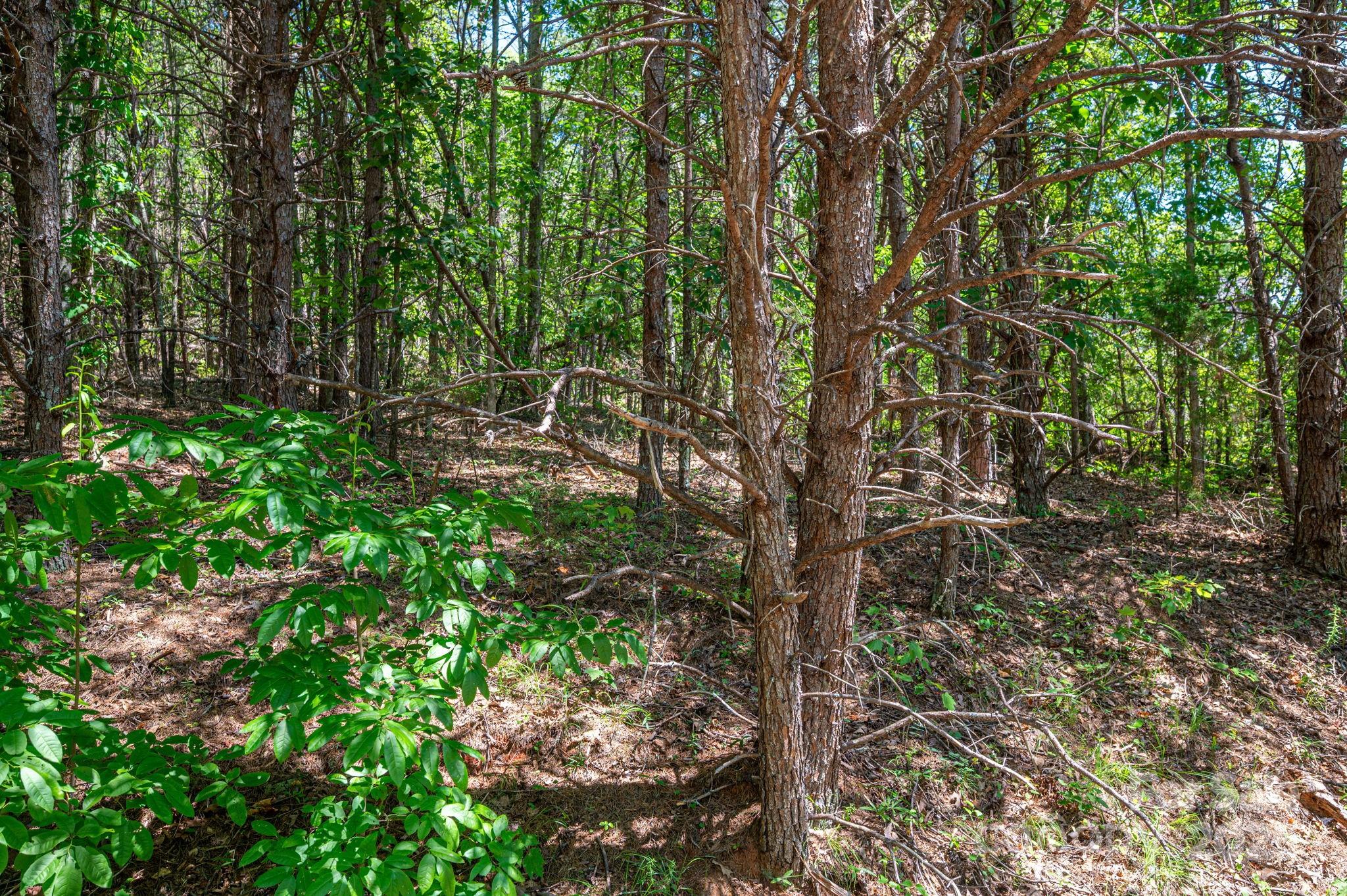 Westbrook Acres - Land