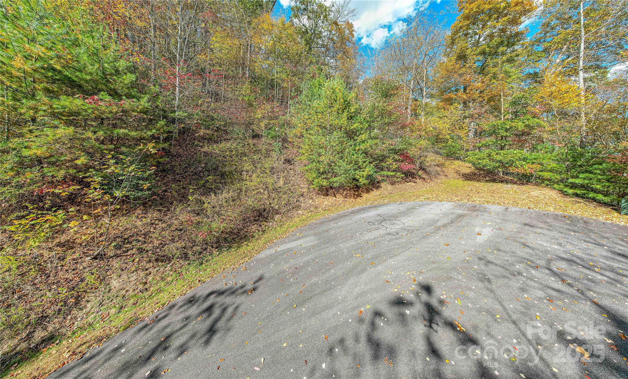 Nestled within the desirable Mountain Brook community, this 3.84-acre wooded homesite offers a private, serene setting surrounded by mature trees, views and mountain beauty. Located just minutes from downtown Brevard, the property enjoys paved, privately maintained road access and sits between 2,500–3,000 feet in elevation. The gently sloping terrain provides an ideal canvas for a custom mountain retreat, with a minimum 1,600-square-foot build requirement ensuring quality throughout the neighborhood. A septic permit application is currently pending. Residents of Mountain Brook enjoy pleasant surroundings and convenient access to nearby hiking, biking, and trout fishing destinations—perfect for those seeking both tranquility and adventure in Western North Carolina.