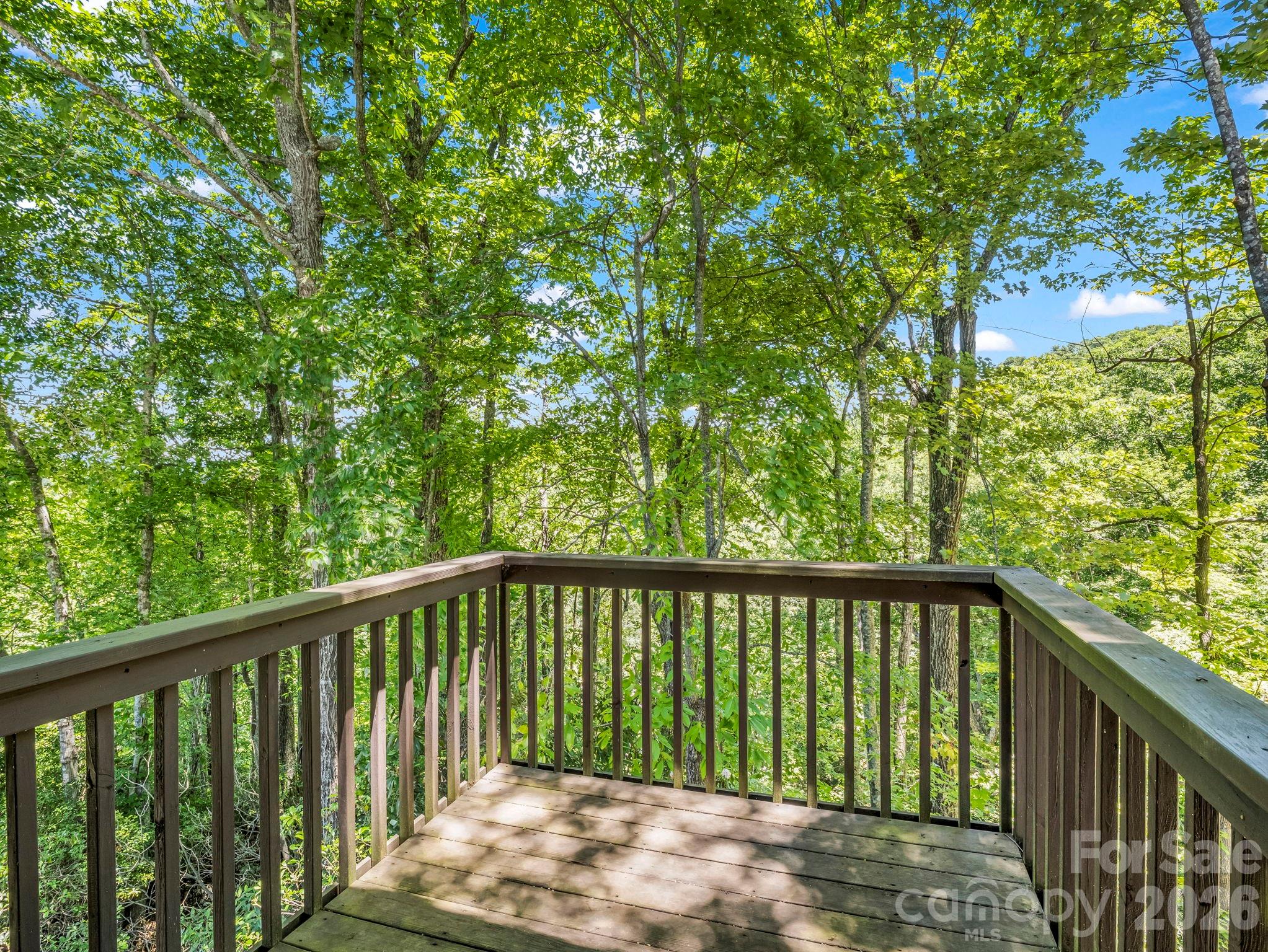 Indian Camp Mountain - Residential