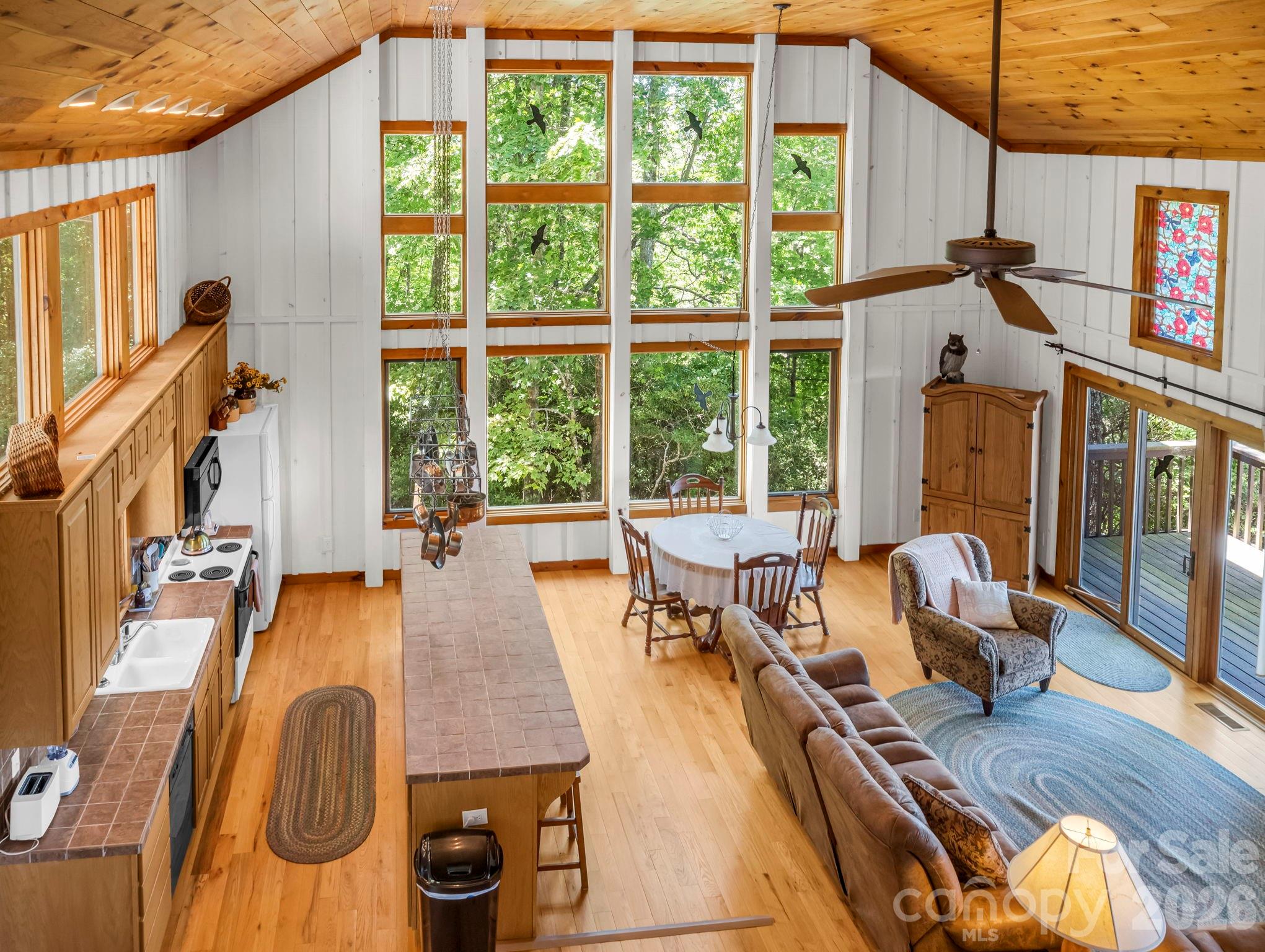 Indian Camp Mountain - Residential