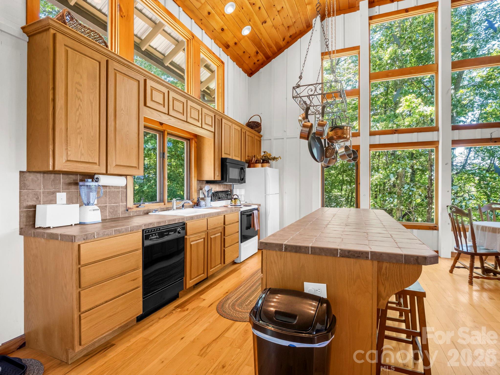 Indian Camp Mountain - Residential