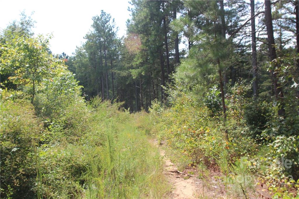 Island Pointe at Lake Vistas - Land