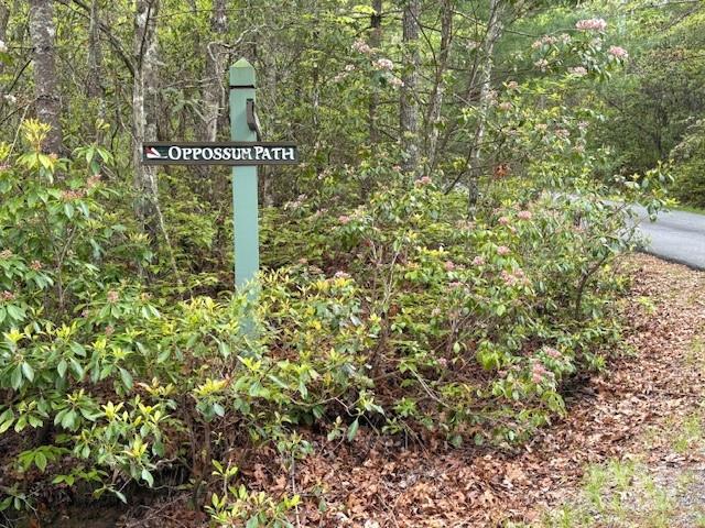 Sherwood Forest - Land