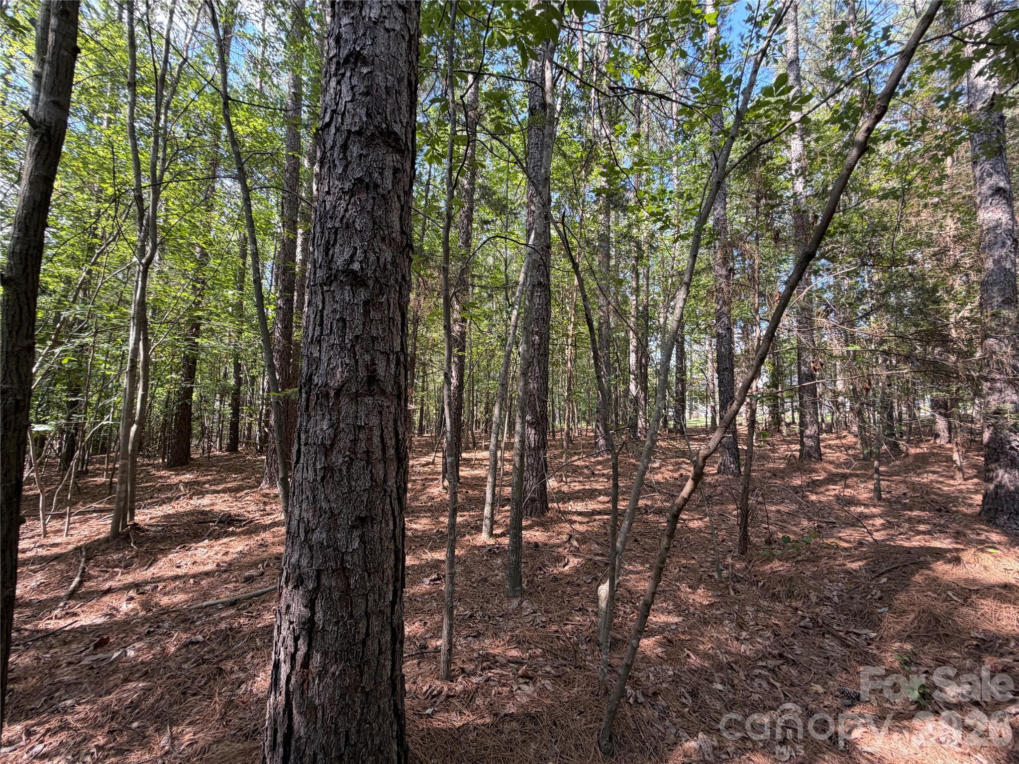 Rustic Creek - Land