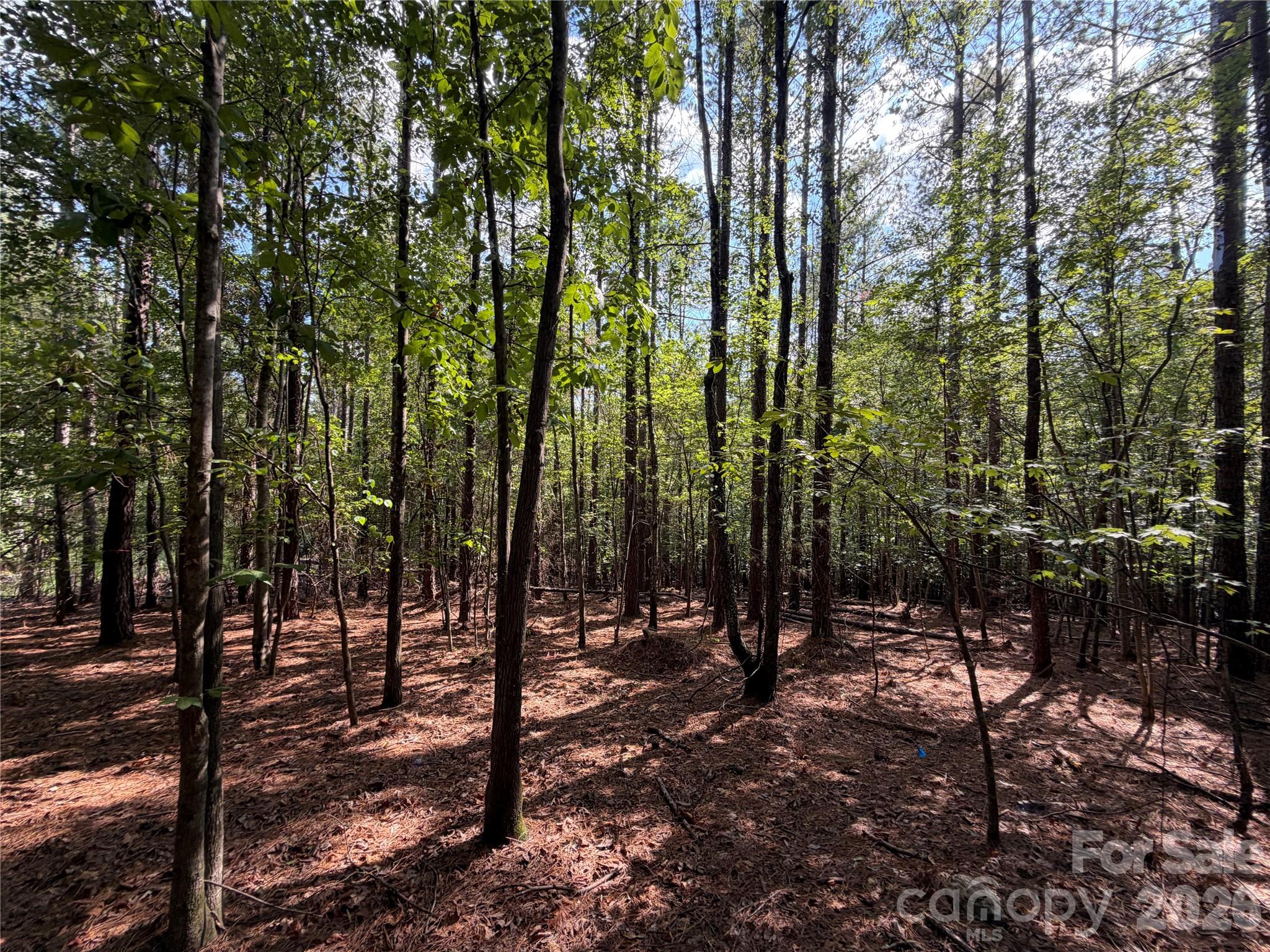 Rustic Creek - Land
