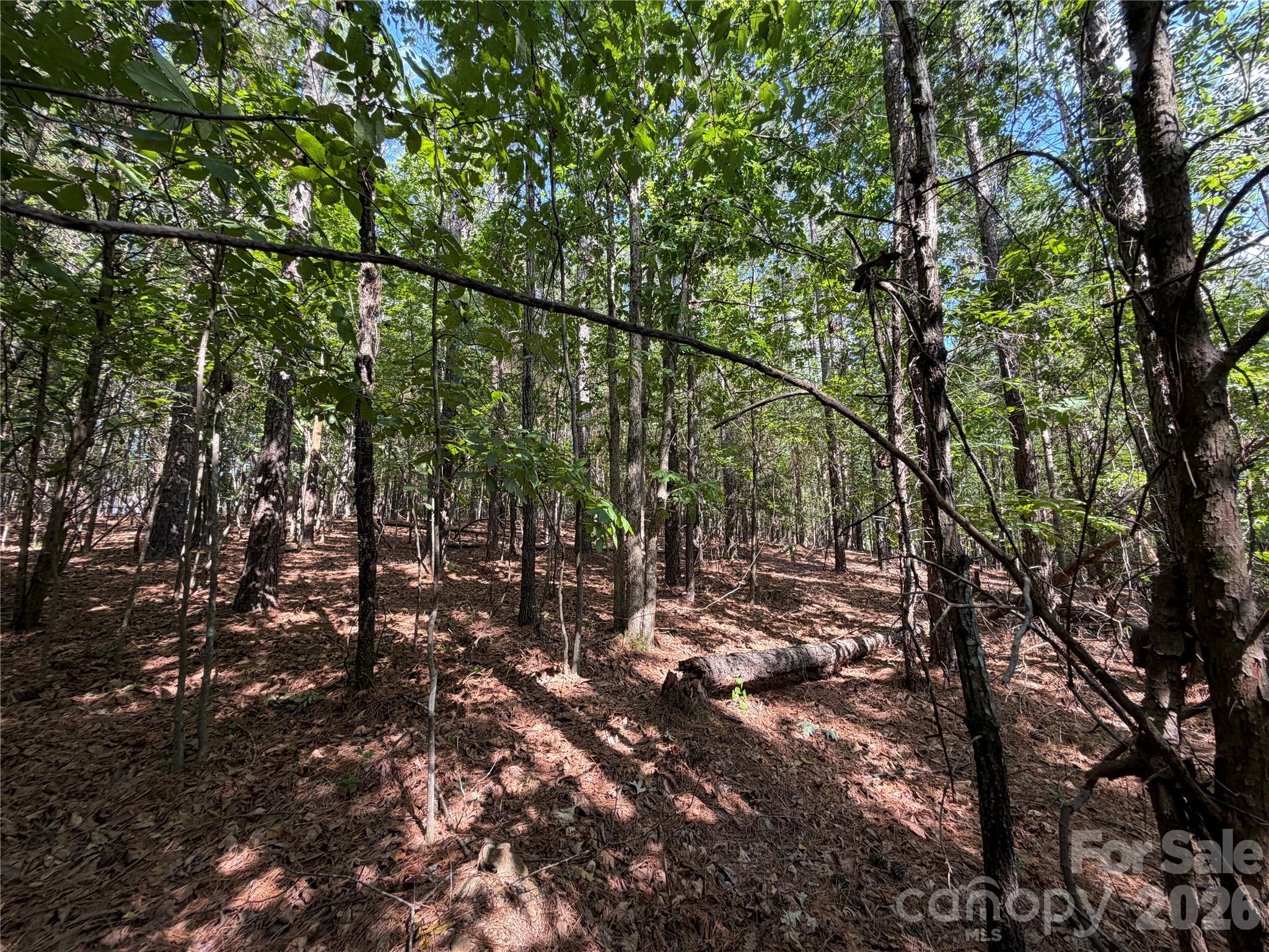 Rustic Creek - Land