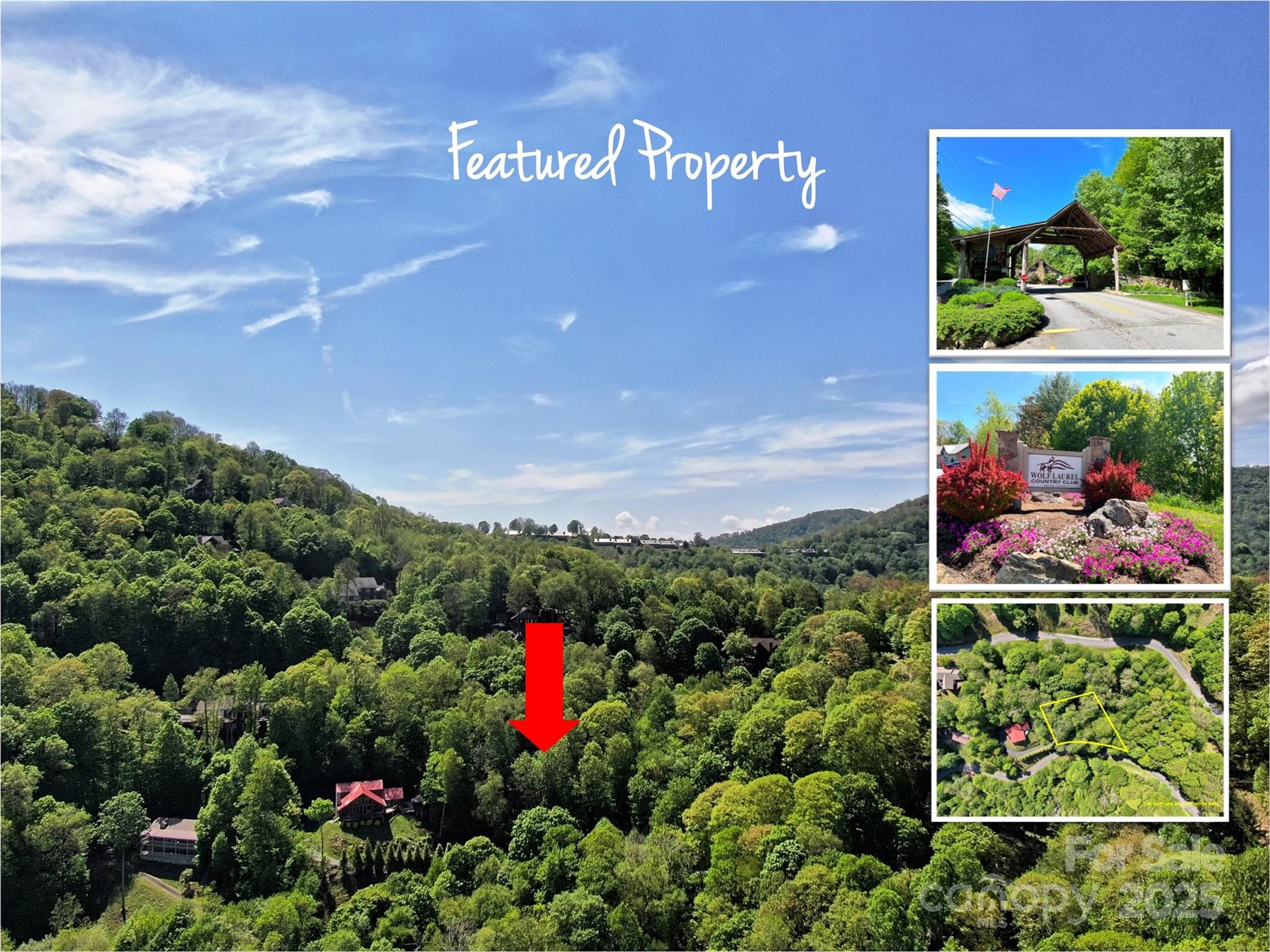 Blue Mountain - Land
