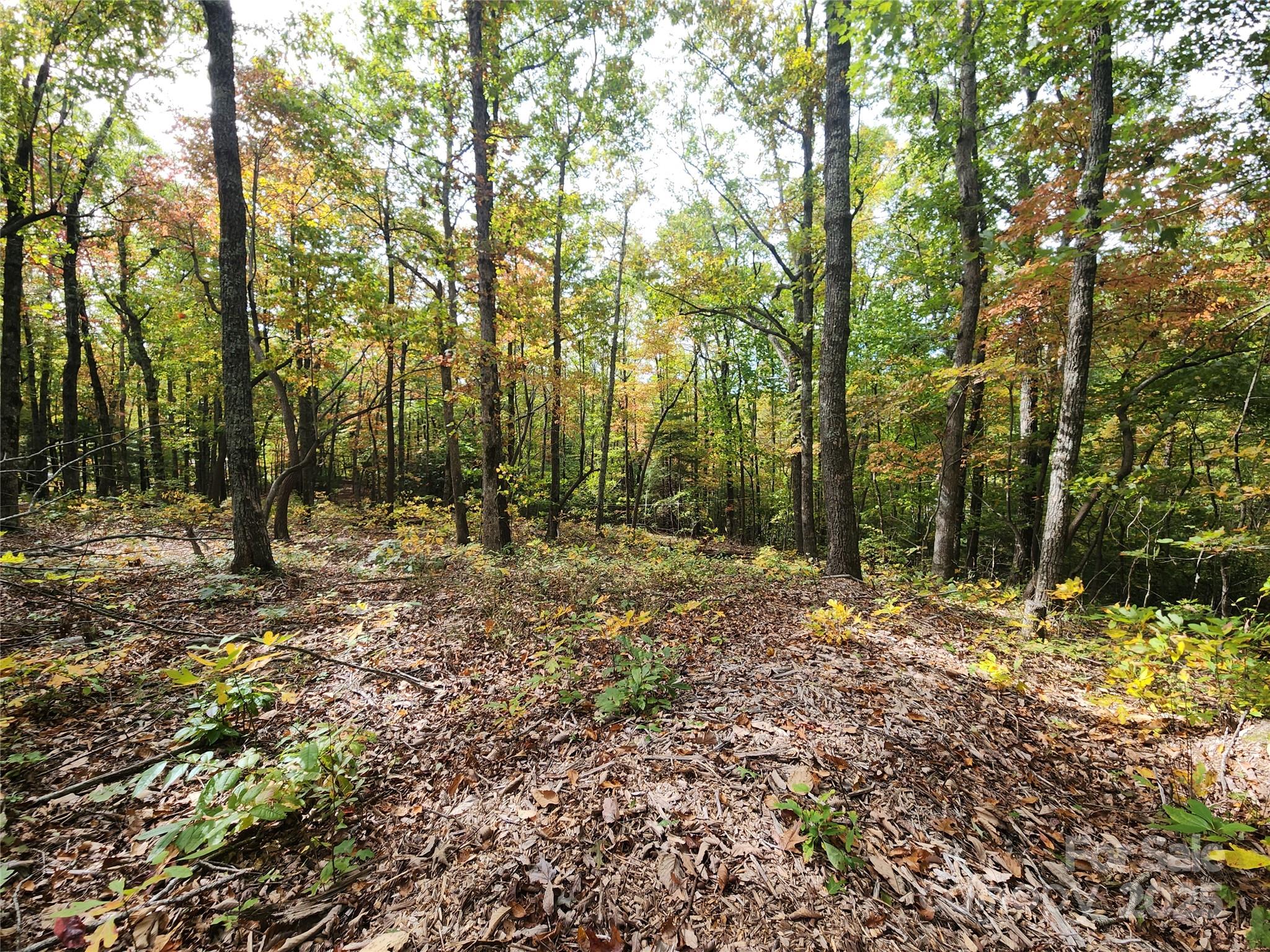 Ann Mountain Estates - Land