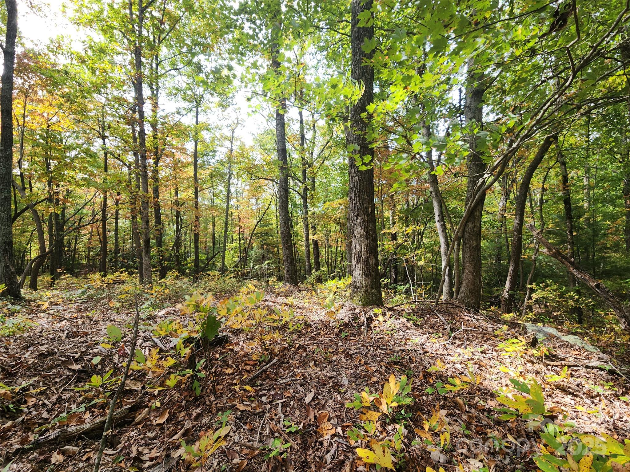 Ann Mountain Estates - Land