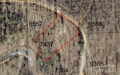 Level to a gently rolling lot with easy access onto Pinnacle Mountain road and at the entrance of Ann Mountain Estates entrance. 1,500 square foot minimum build size. No manufactured or modular homes are allowed. Property is also listed together with lots 1, 3, 5, and 30 MLS 4292537. Co-list agent has ownership interest in the property.