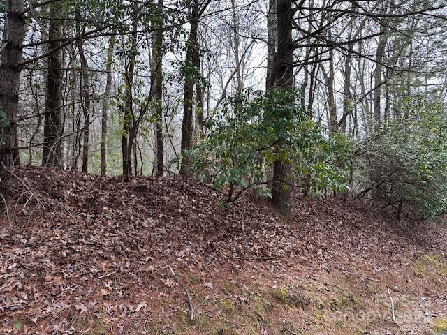 Connestee Falls Gated community. Double lot includes Pin # 8592-16-9881 and #8592-16-9706
Great building lot on a quiet street, backs up to green space. Close to East Fork Gate and amenities.Come take a look and build your dream home today!  First time buyers pay Amenity Reserve Fee, $13,000 due at Certificate of Occupancy.
