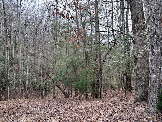 Connestee Falls - Land