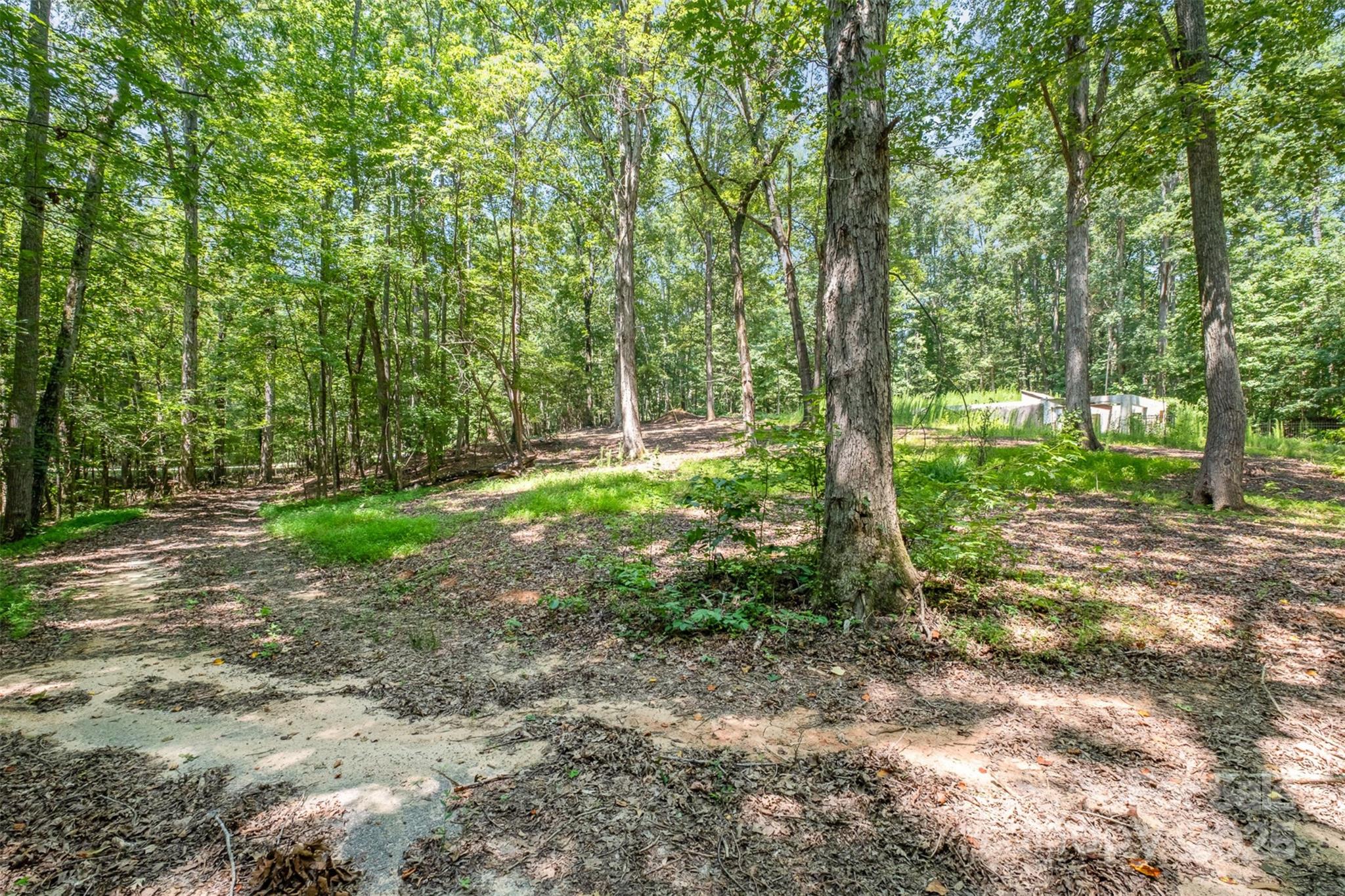 Morris Branch - Land