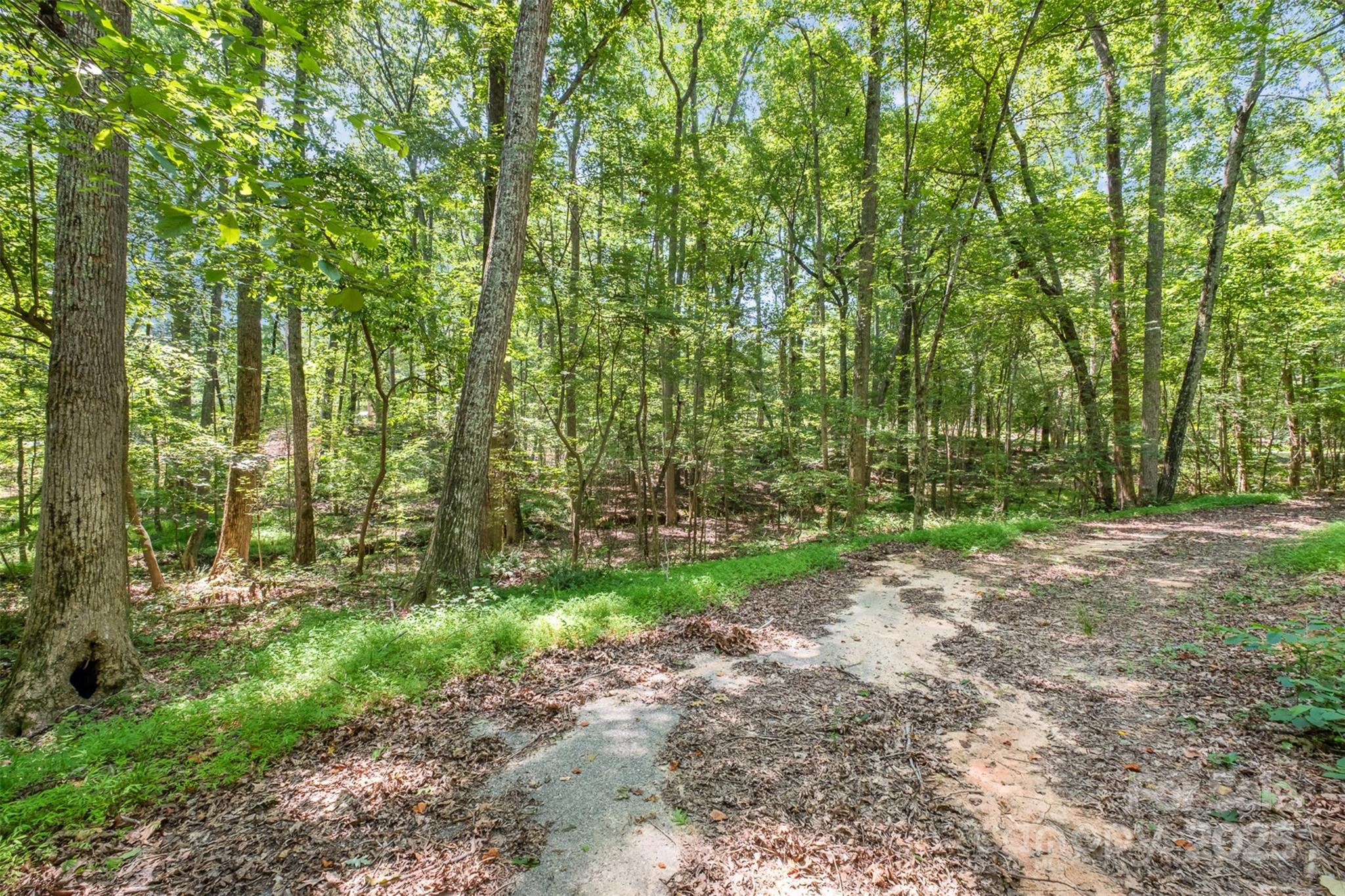 Morris Branch - Land