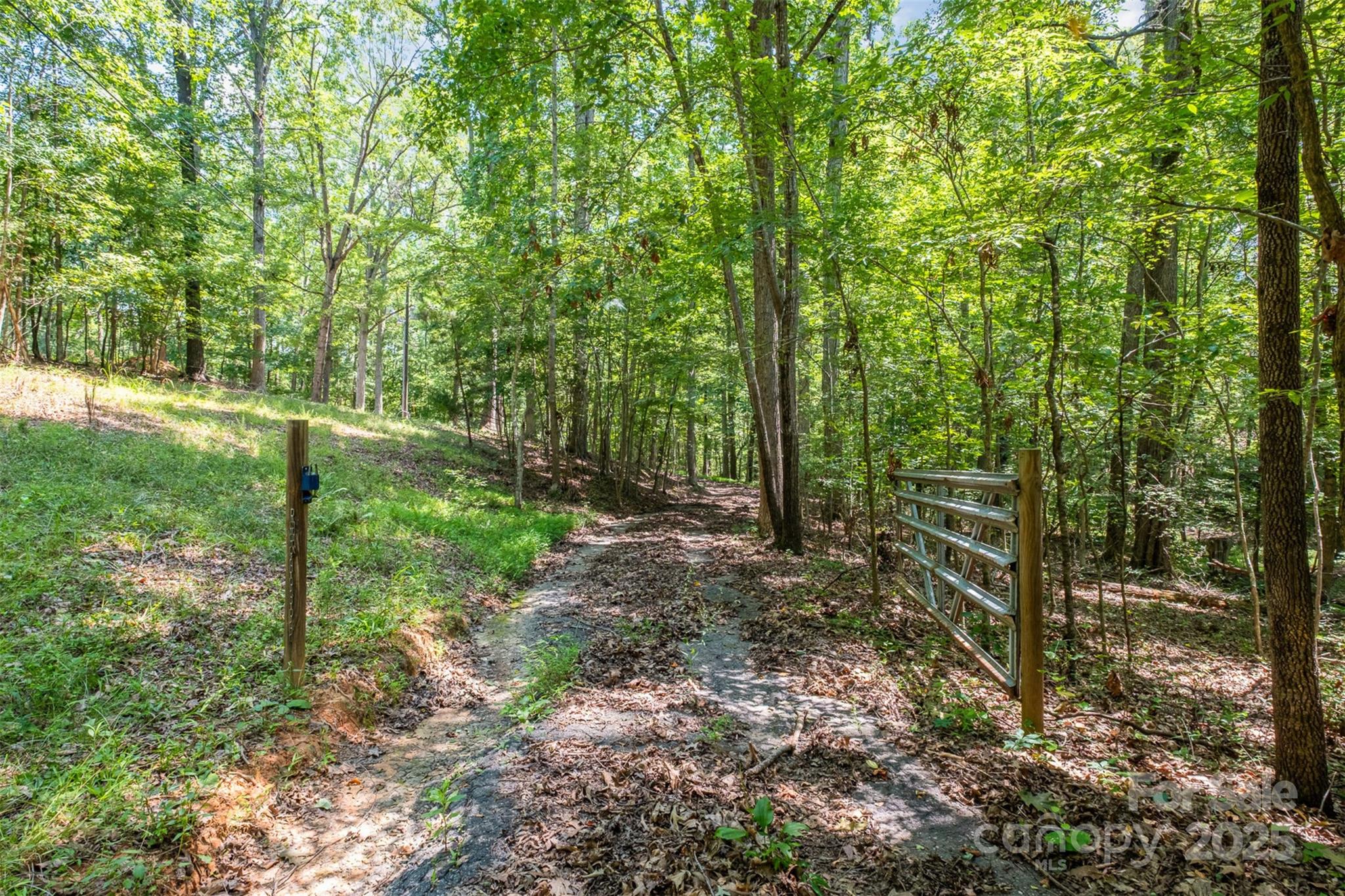 Morris Branch - Land