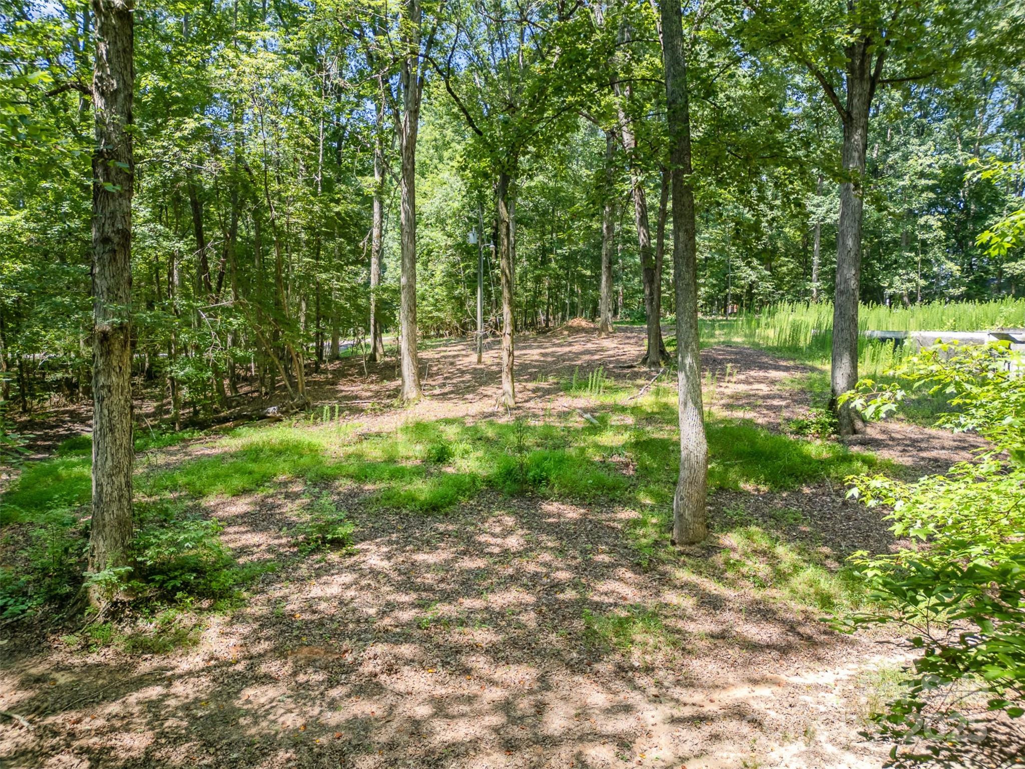 Morris Branch - Land