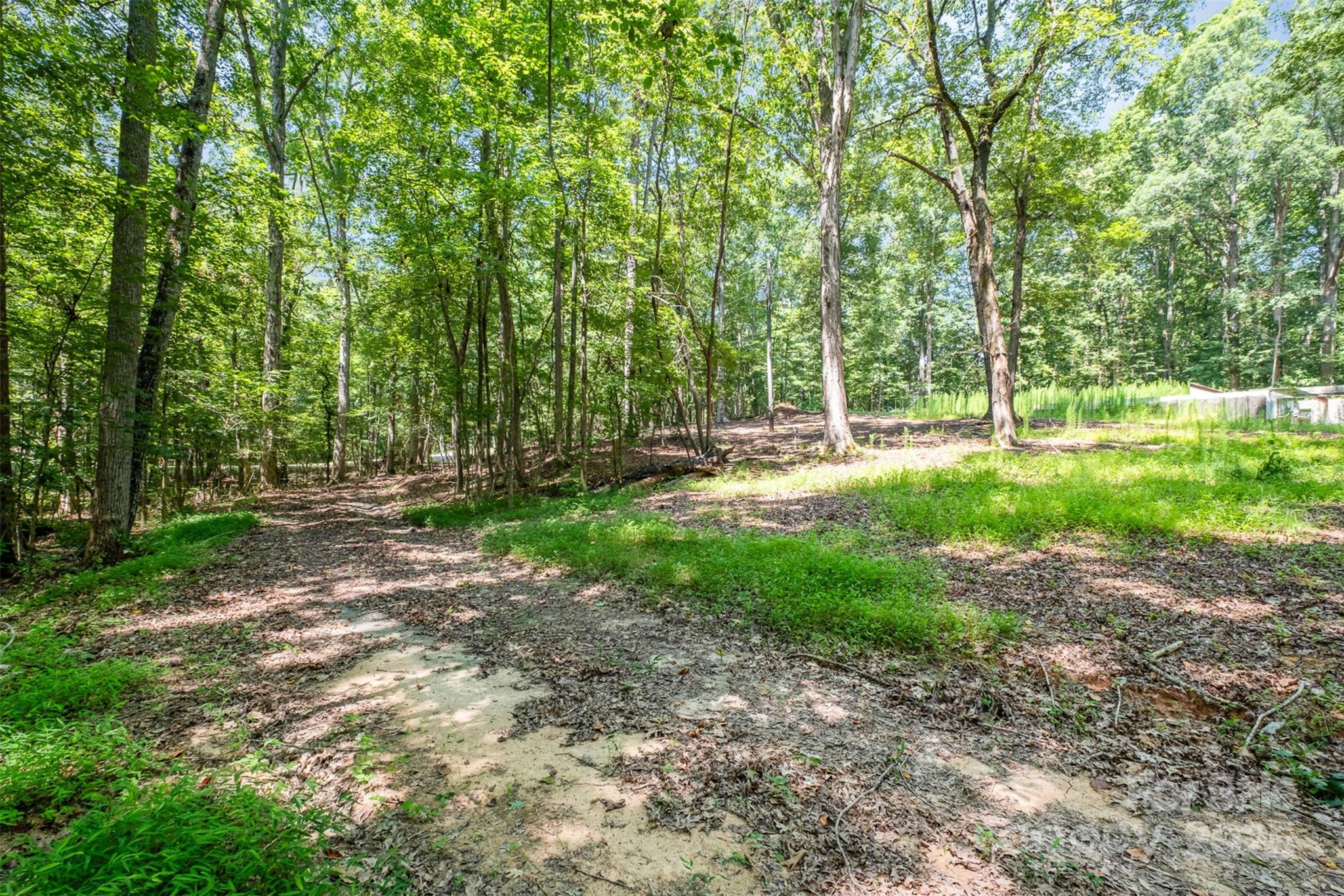 Morris Branch - Land