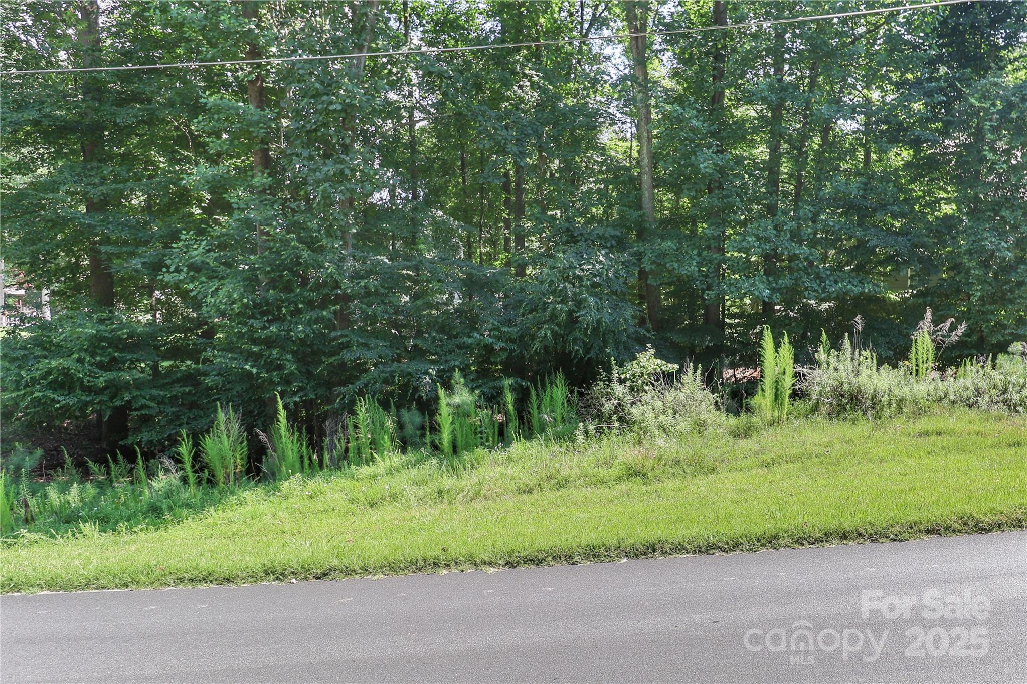 Woodleaf - Land