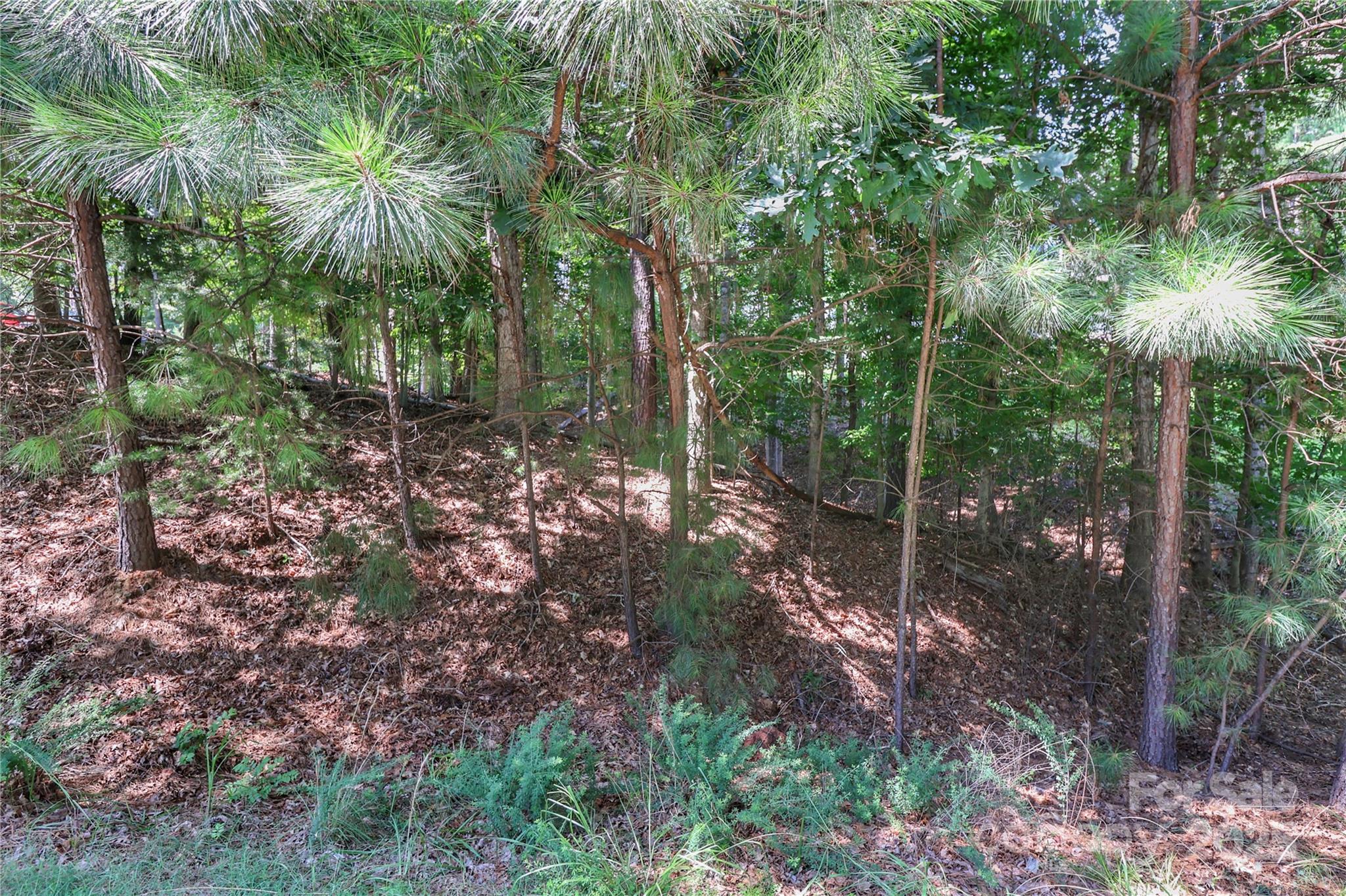 Woodleaf - Land