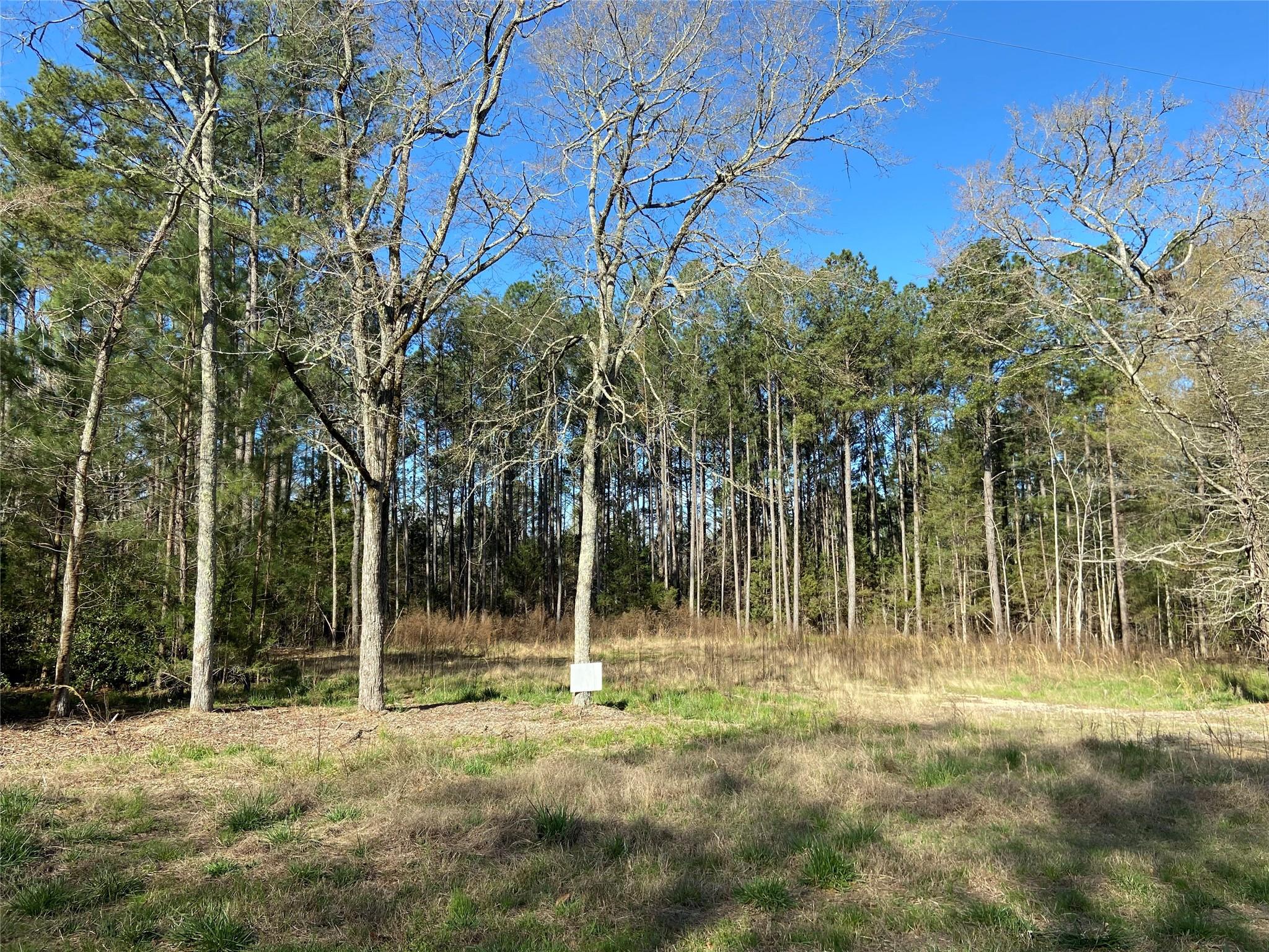 Mcfadden Estates - Land