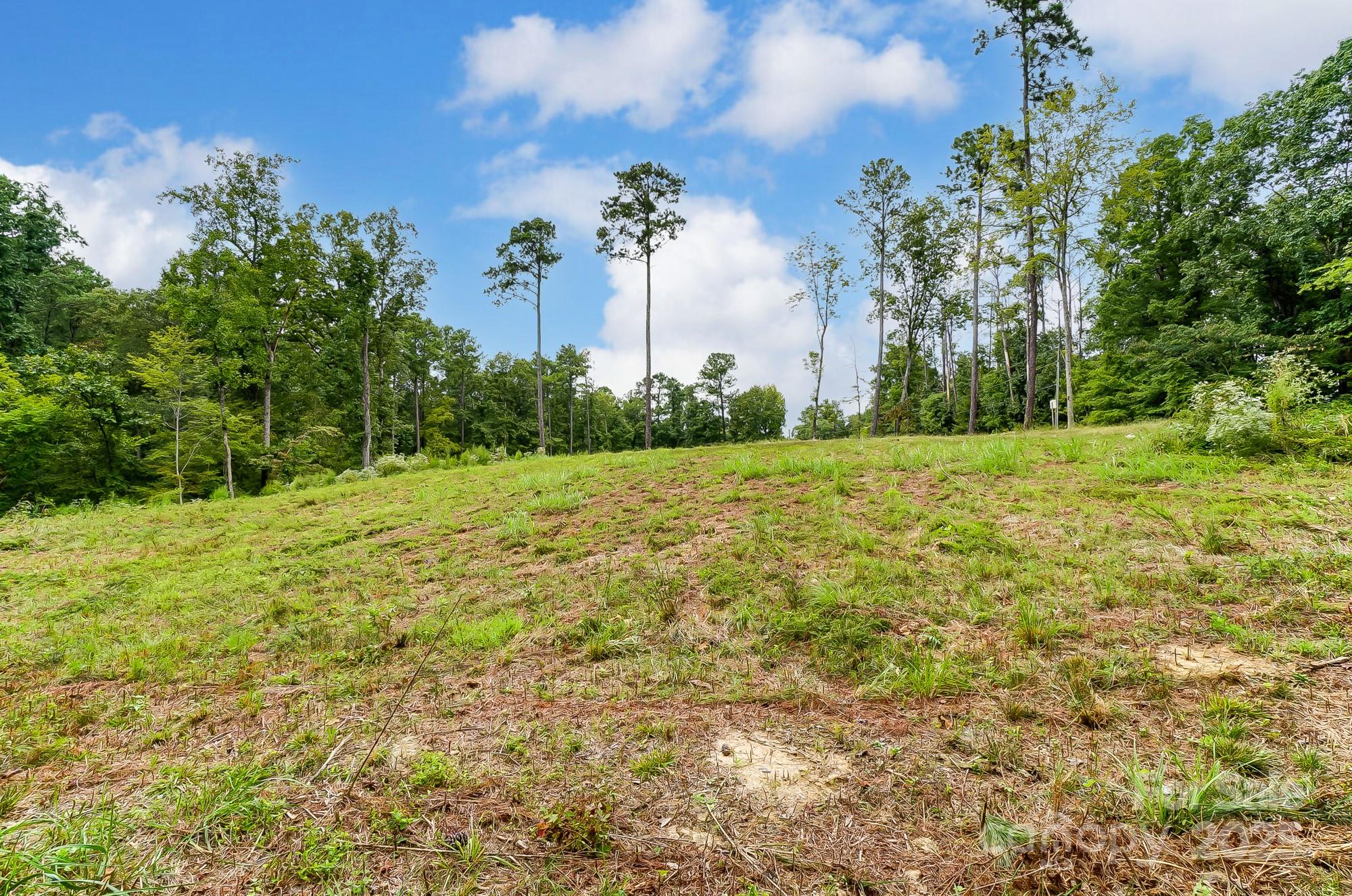This lot checks all the boxes! Located in great Clover School District, on a level 2.71 acre lot with lots of trees for privacy with a portion cleared ready for the next homeowner. Build your dream home with no HOA and deep well already installed. Located on Allison Creek Peninsula conveniently 1 mile to Allison Creek Park and Boat Landing, Perfect for Lake Days or fishing at the park. Short commute to Charlotte, Clover, Rock Hill and Charlotte Douglas International Airport. Low SC Taxes!