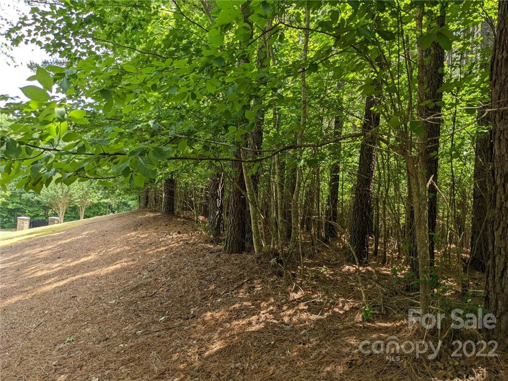 Swift Island Plantation - Land