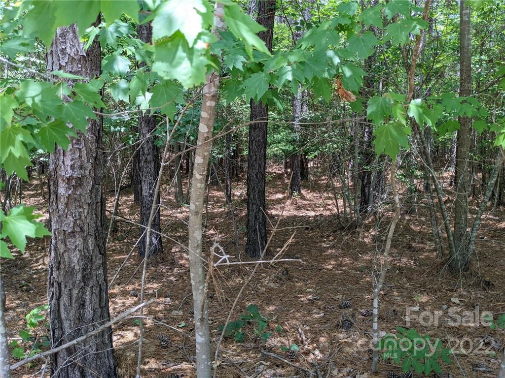 Swift Island Plantation - Land
