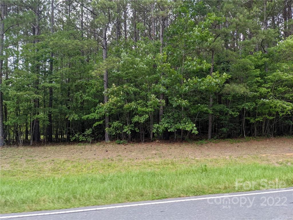 Swift Island Plantation - Land
