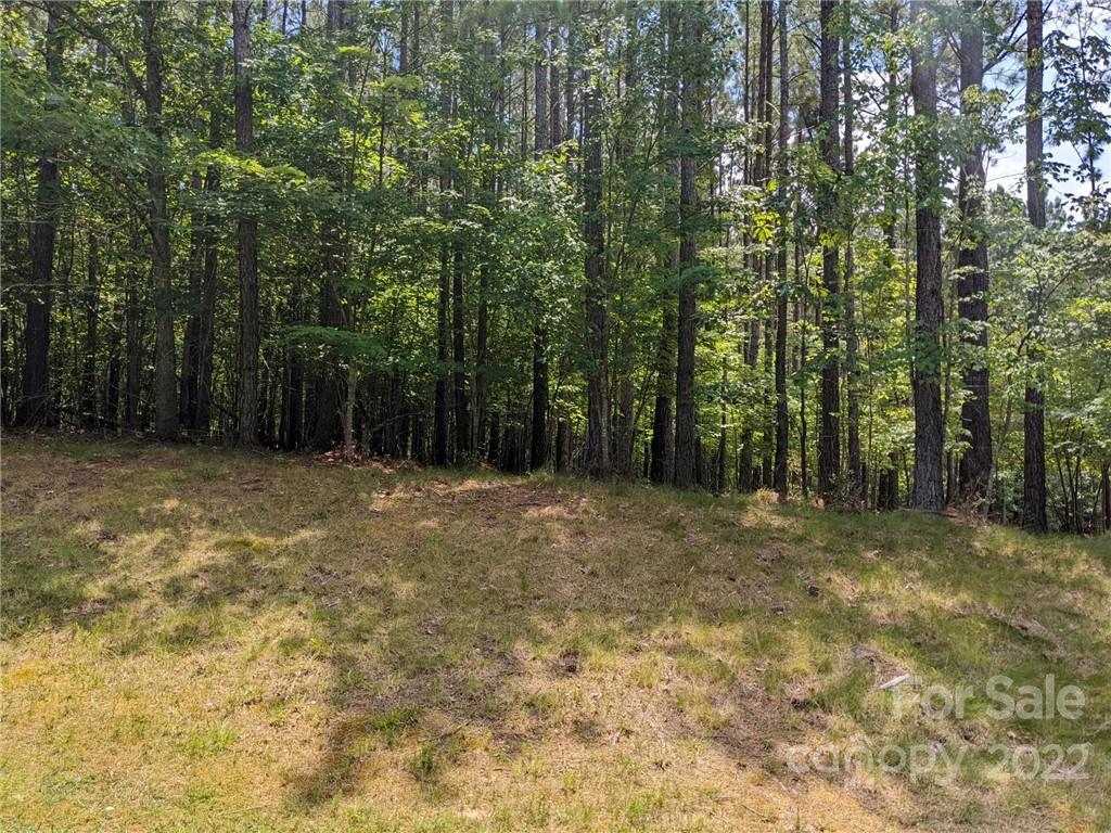 Swift Island Plantation - Land