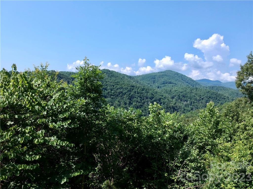 French Broad Crossing - Land