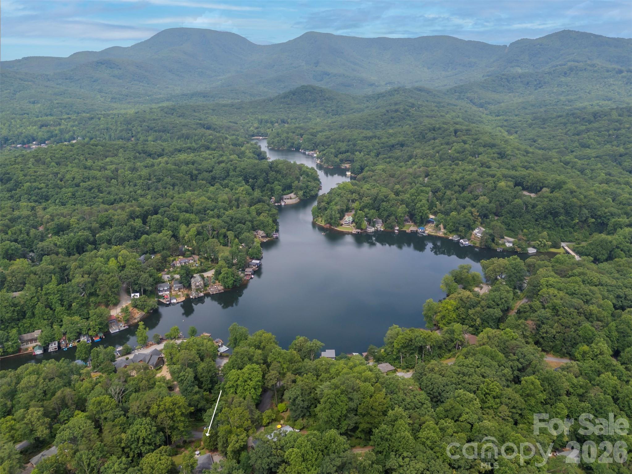 Lake Lanier - Residential