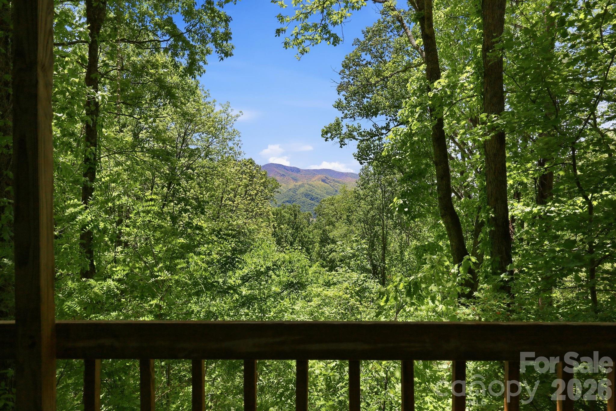 Dream Mountain - Residential
