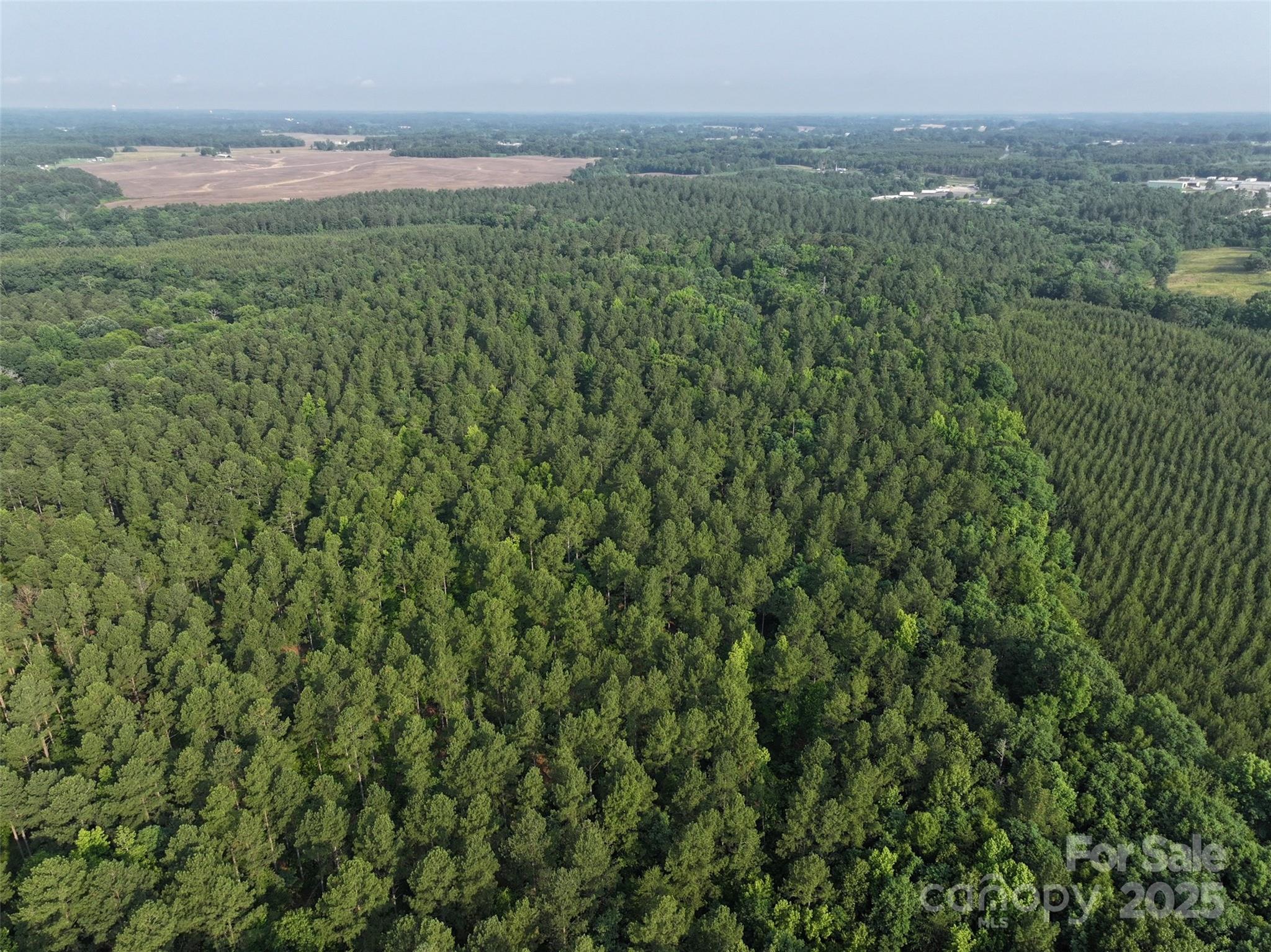 Discover a rare opportunity in Union and Anson counties to own 260 acres of pristine land with miles of frontage on scenic Lanes Creek, perfectly positioned along HWY 74 and just 10 minutes from the Monroe Expressway. This expansive property is a haven for nature lovers, outdoor enthusiasts, and visionary developers alike. In addition, it has extensive trails that are ideal for hiking, ATV riding, horseback riding and hunting. Lanes Creek offers a peaceful escape and awesome fishing. Professionally managed for many years as a great timber investment.Gently rolling topography with several ideal home sites to choose from. Positioned only 3 hours from NC mountains and NC/SC beaches. Whether you're looking to create a private retreat, a hunting and camping escape, or a future development site, this land offers unmatched potential in a peaceful yet accessible location.