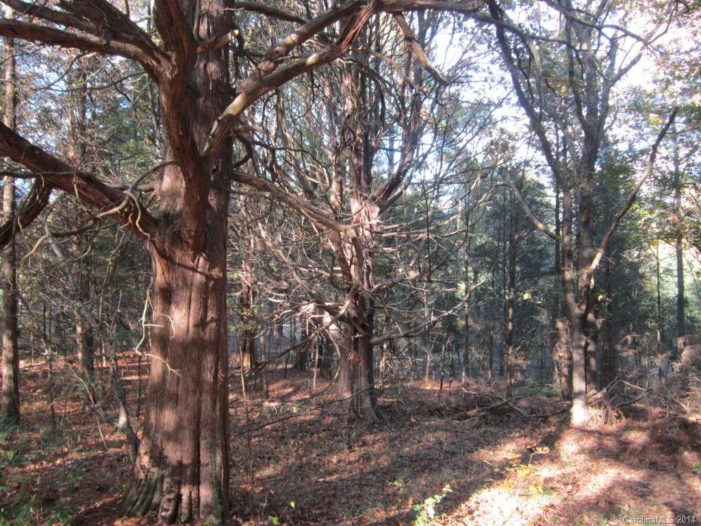 Forest Brook Estates - Residential