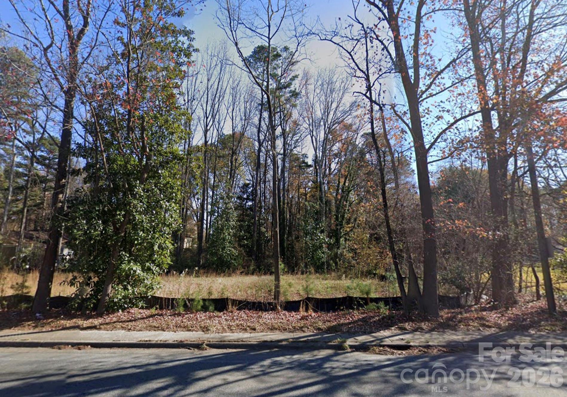 Chestnut Ridge - Land